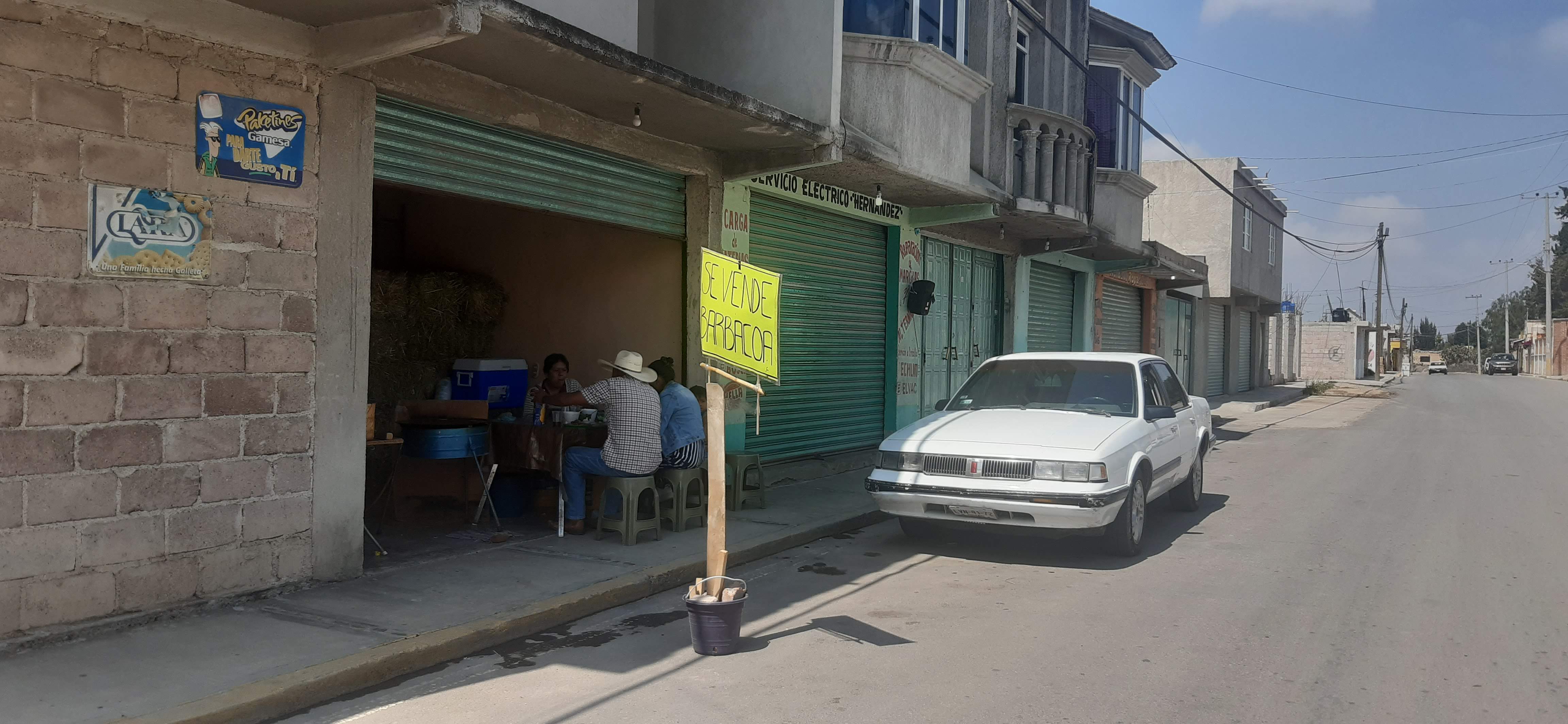 Forrajes y borregos "Los Focos" image 8