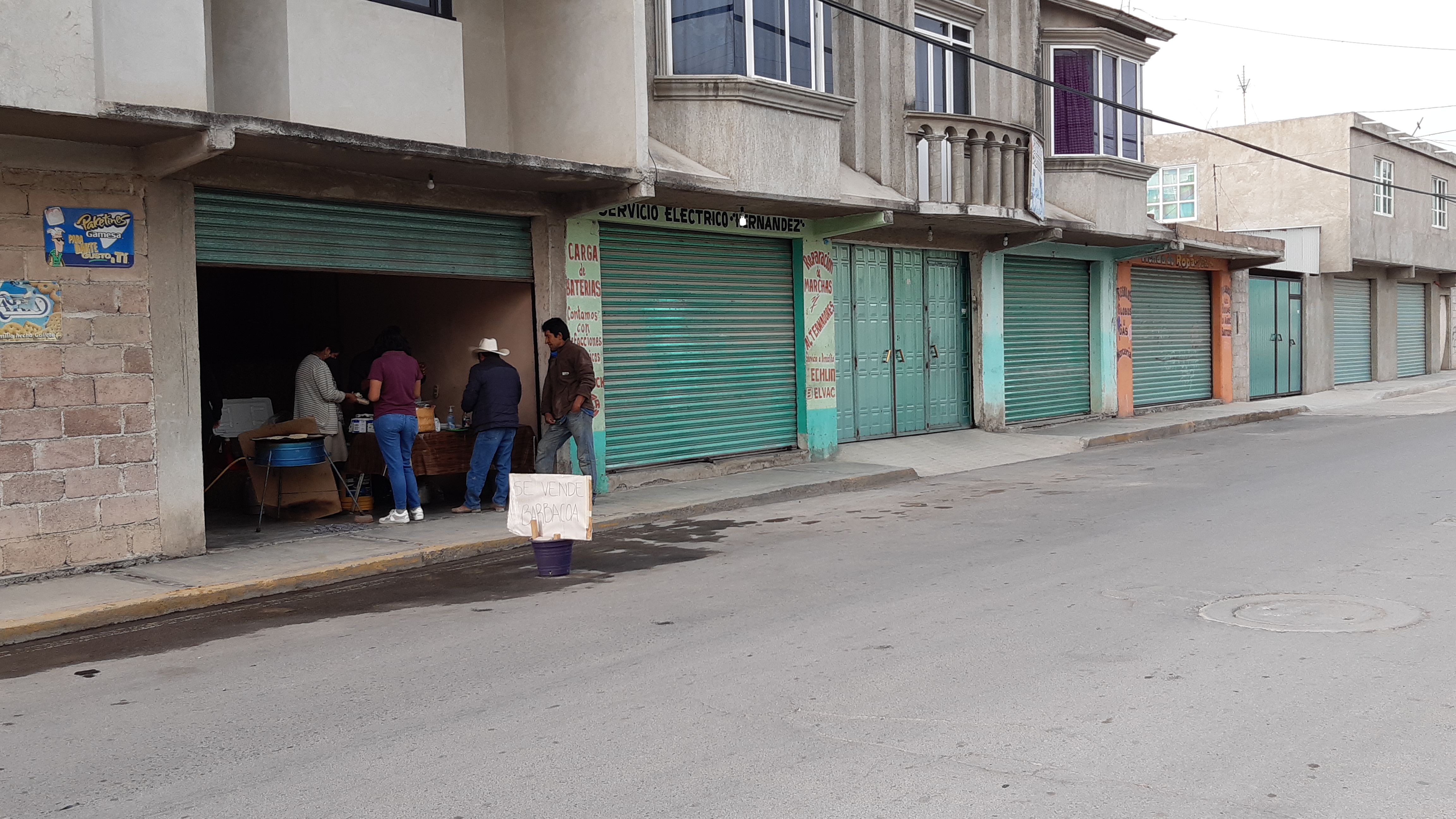 Forrajes y borregos "Los Focos" image 10