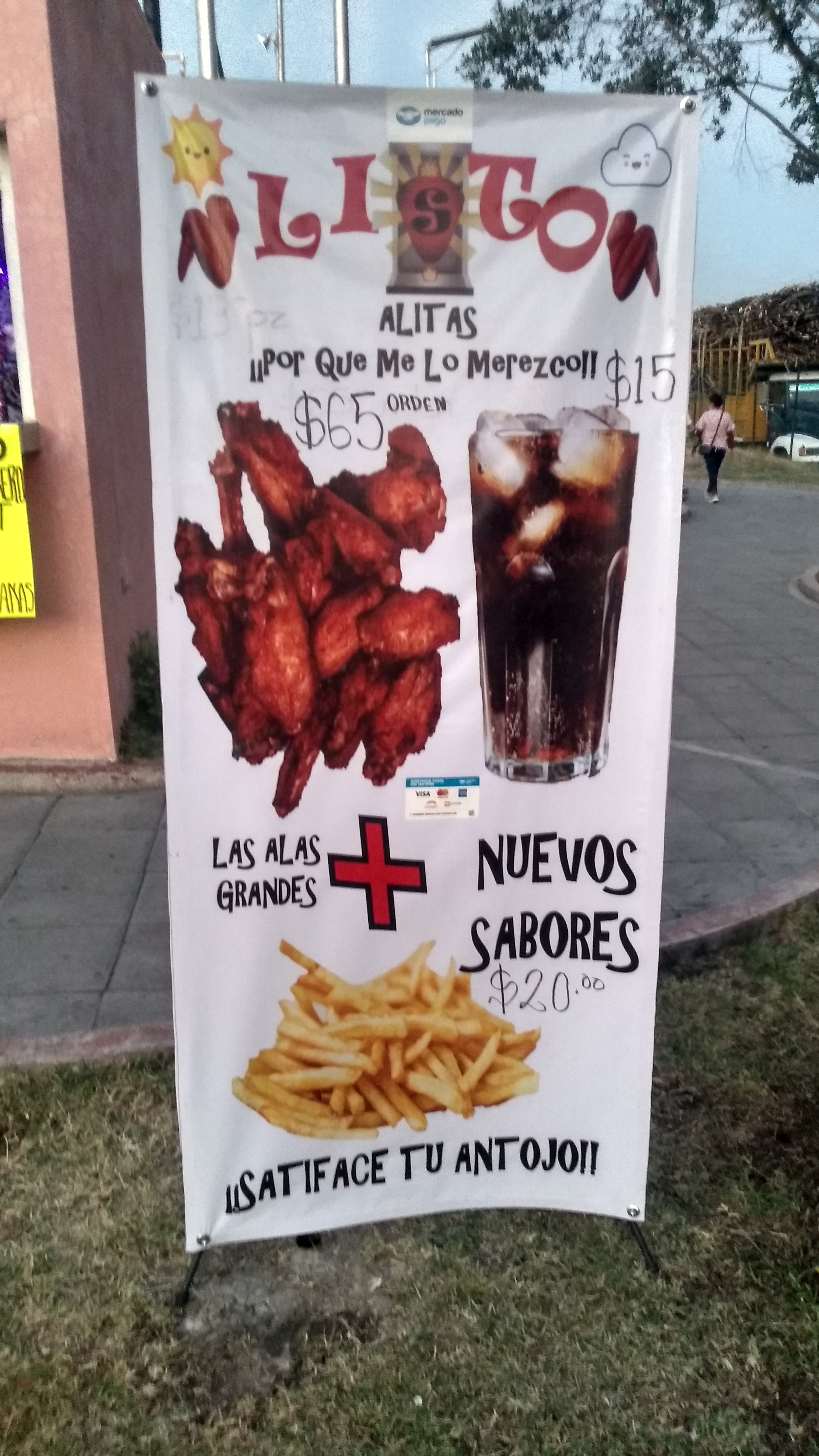 C A T W I N G S image 4