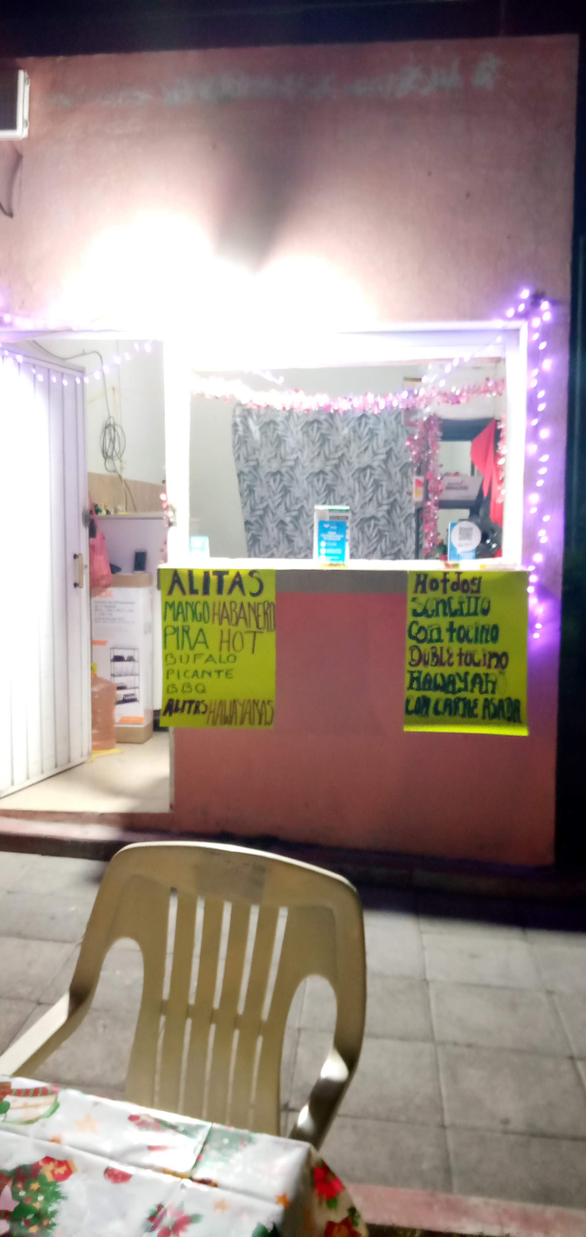 C A T W I N G S image 9