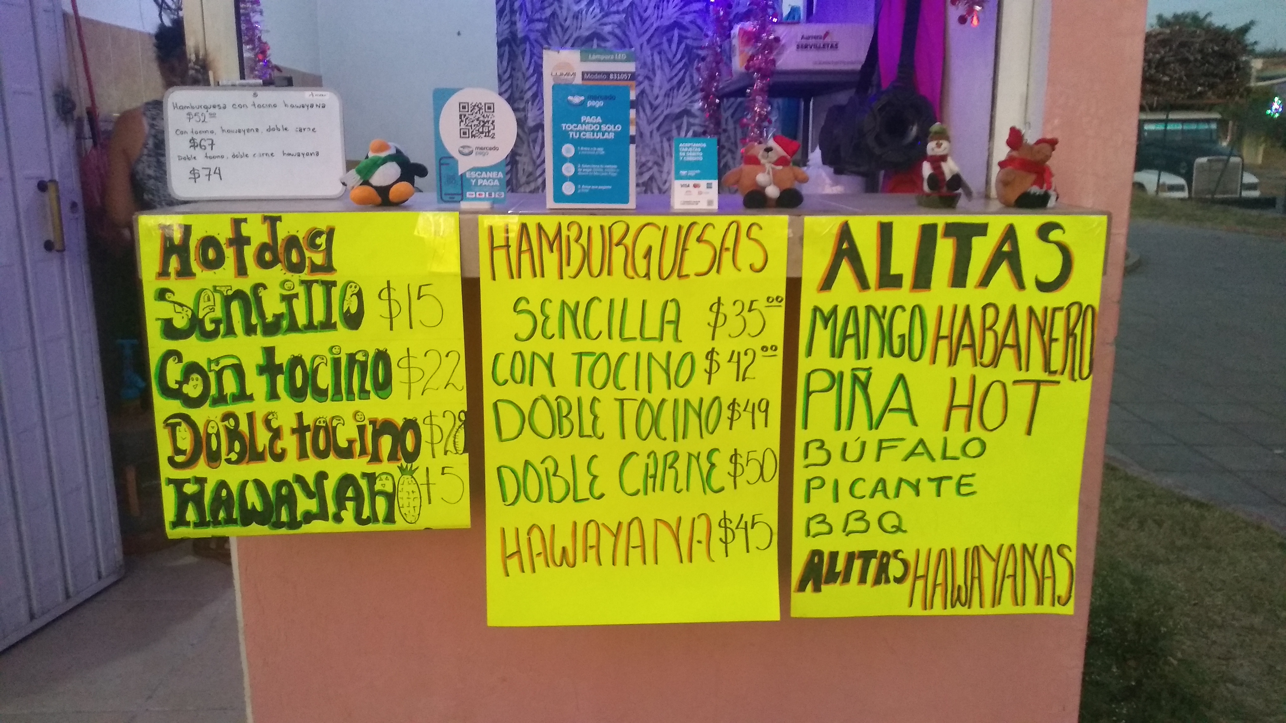 C A T W I N G S image 10