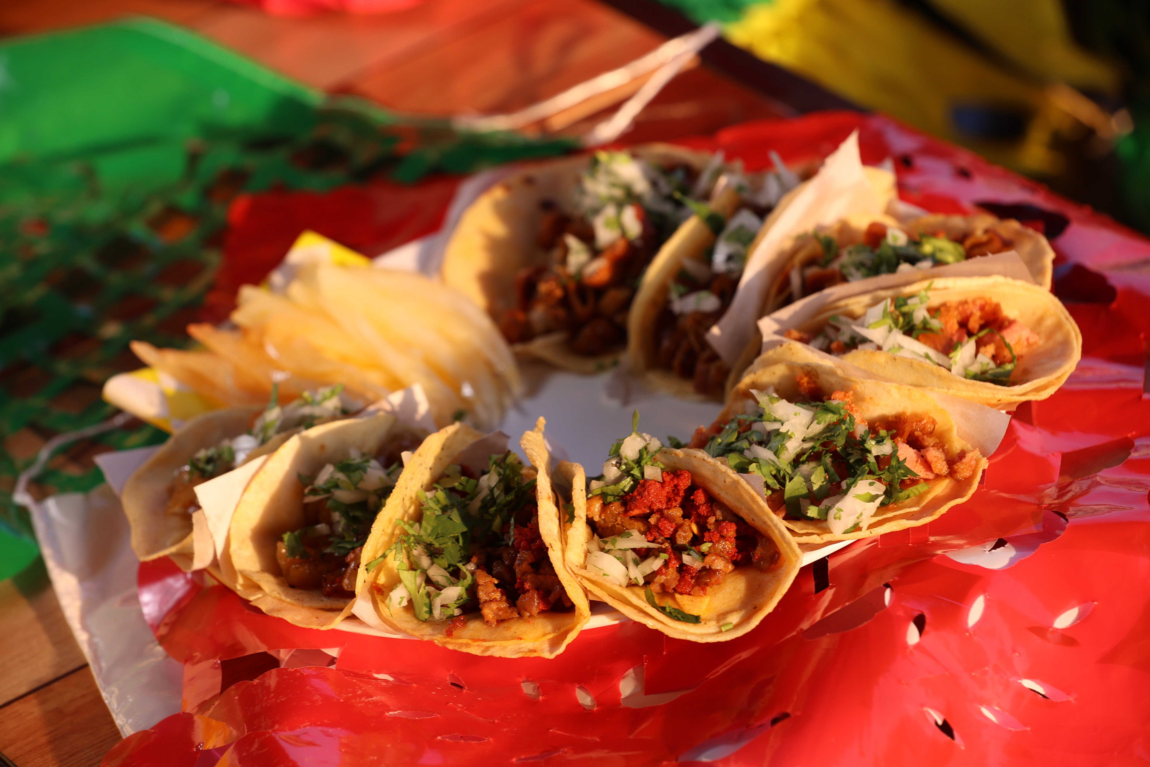 The Jungle Burger's image 8