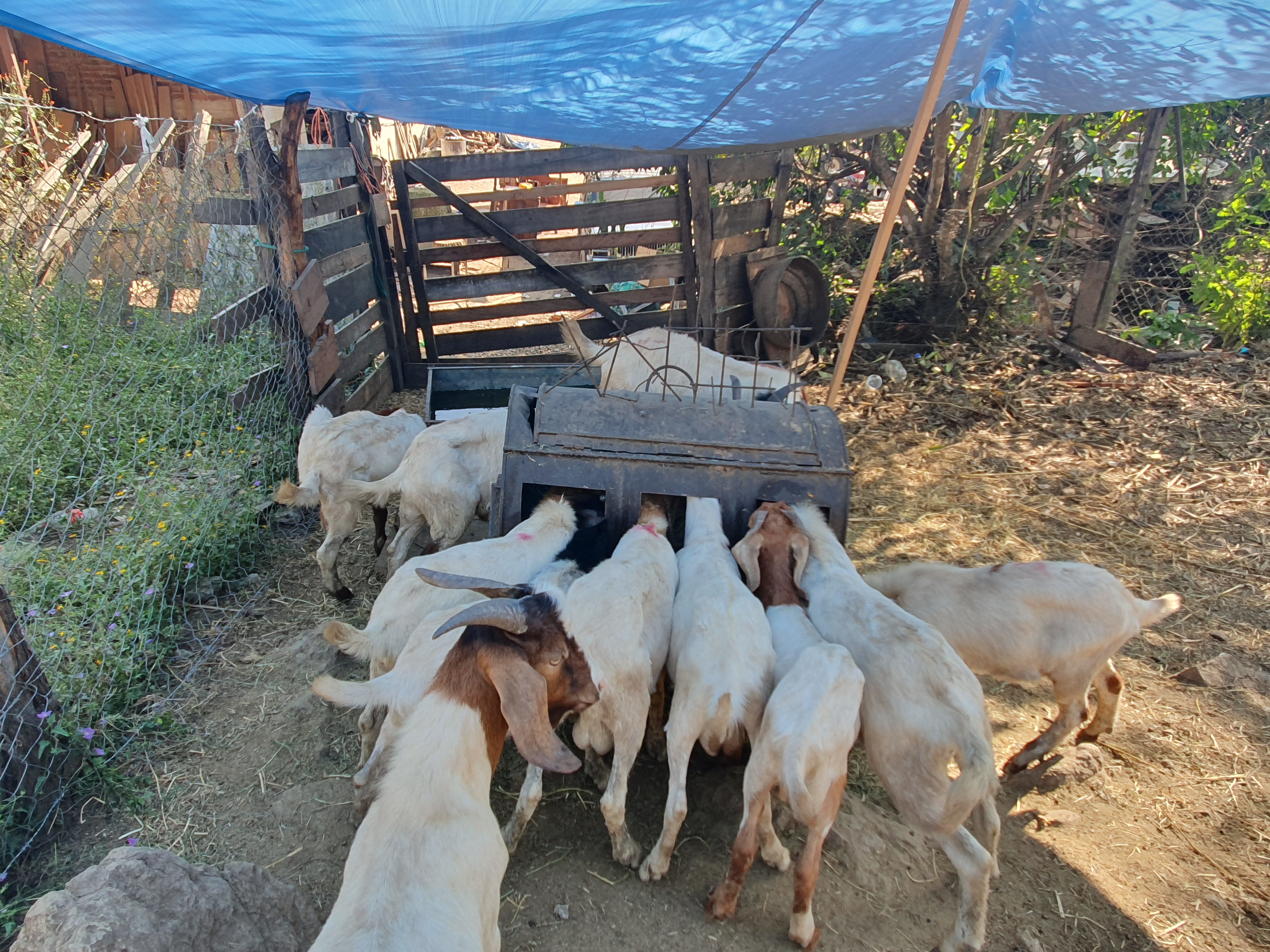 Restaurante y taqueria larios image 2