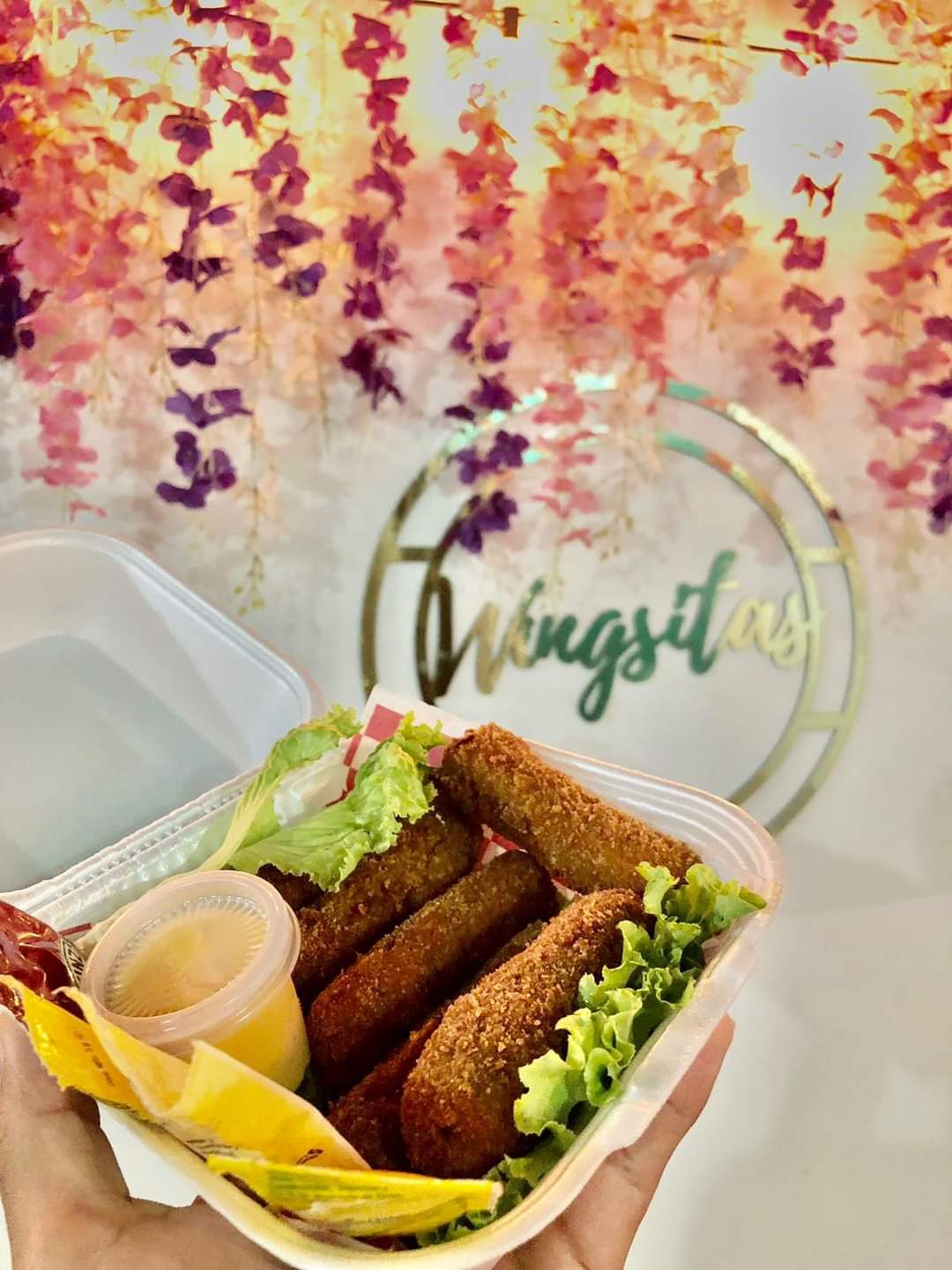 Wingsitas image 5