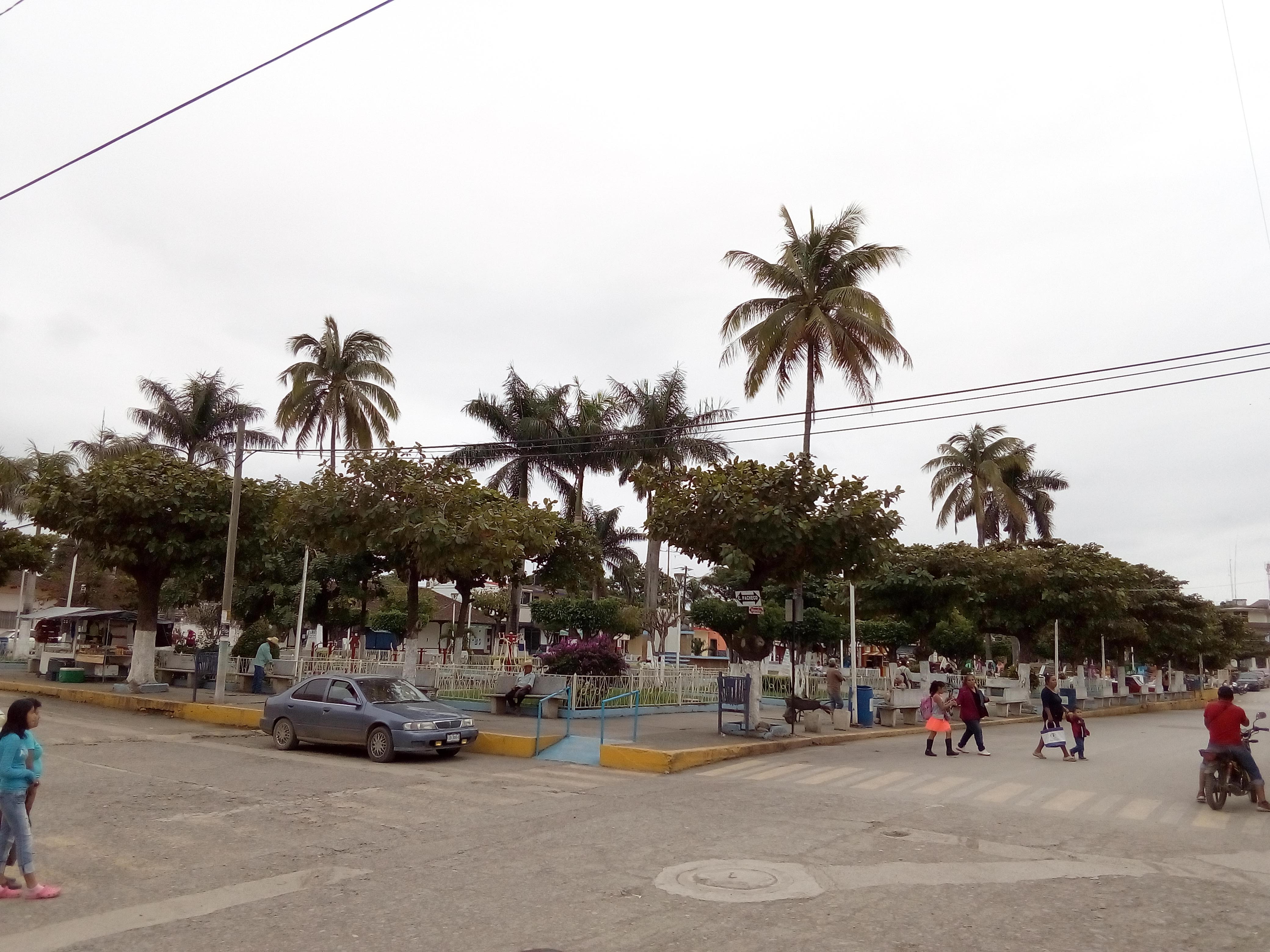 Pollos Asados DANI image 6