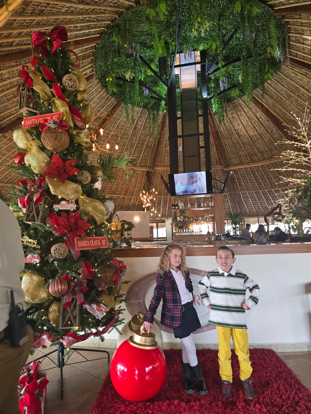 Brasero Parrilla Campestre image 7