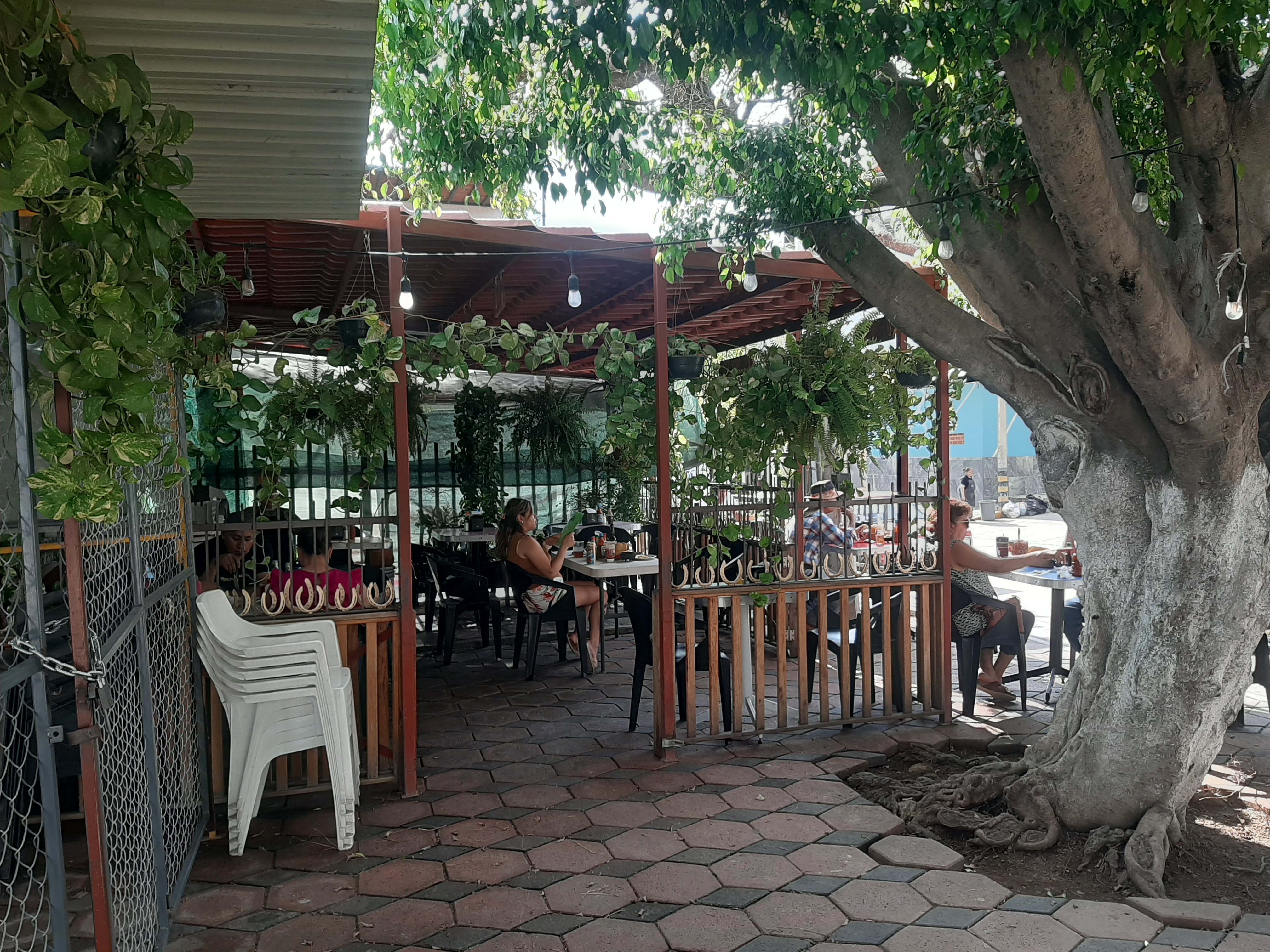 MARISCOS El Compa LALO image 3