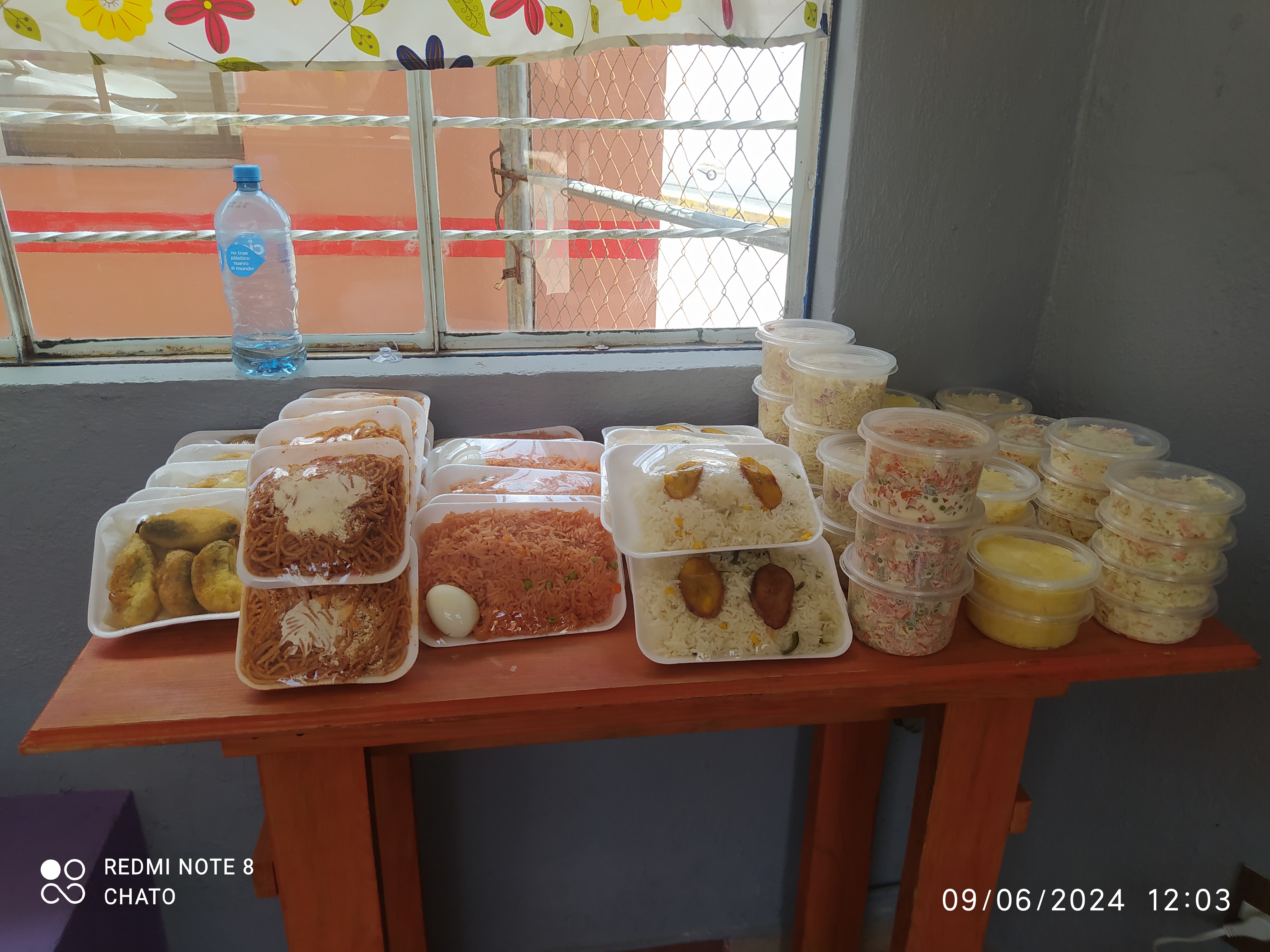 POLLITO MI REY image 1