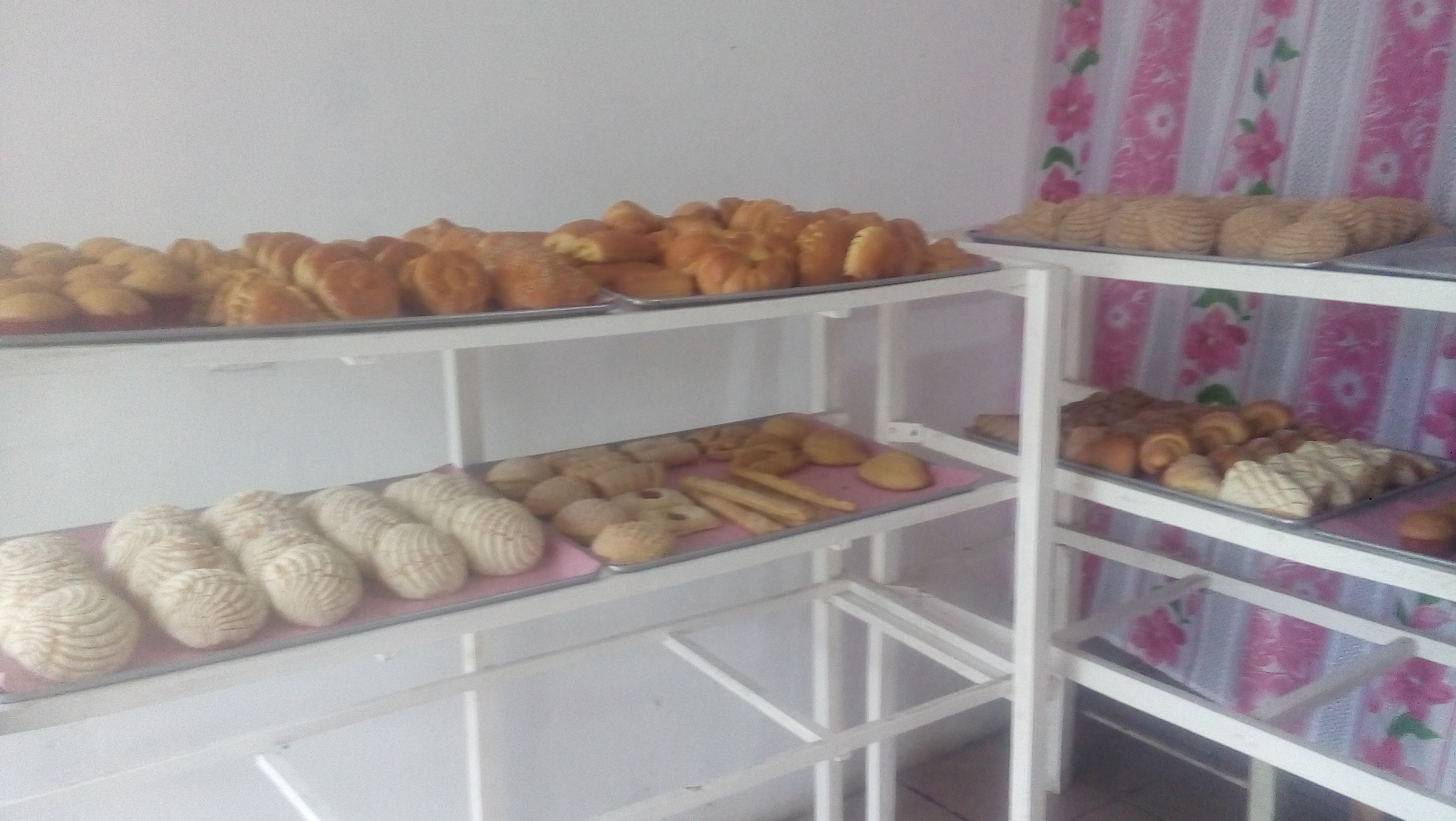 Taquería Colosio (Tacos al Vapor Don Came) image 6