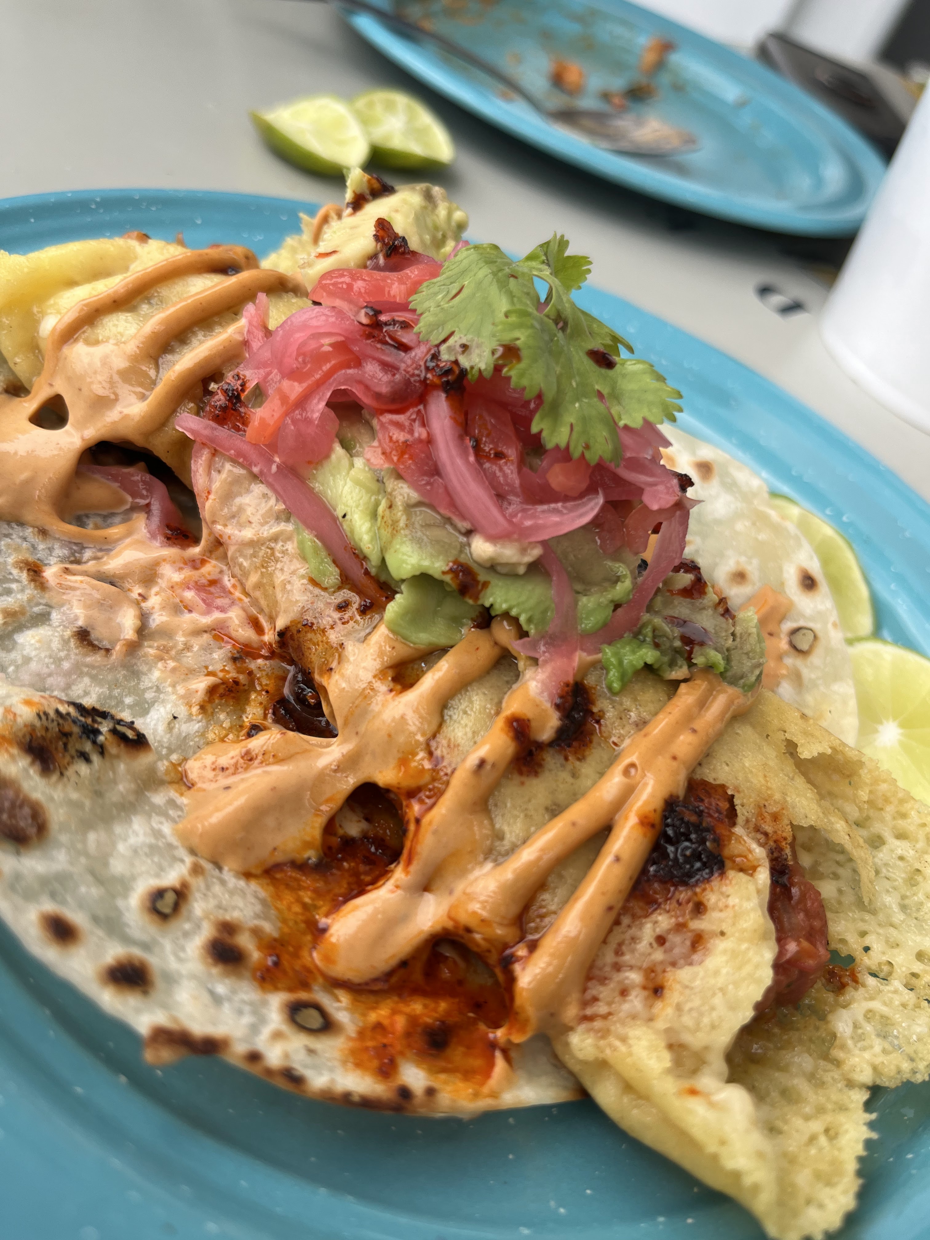 El Plebe Bichi image 8