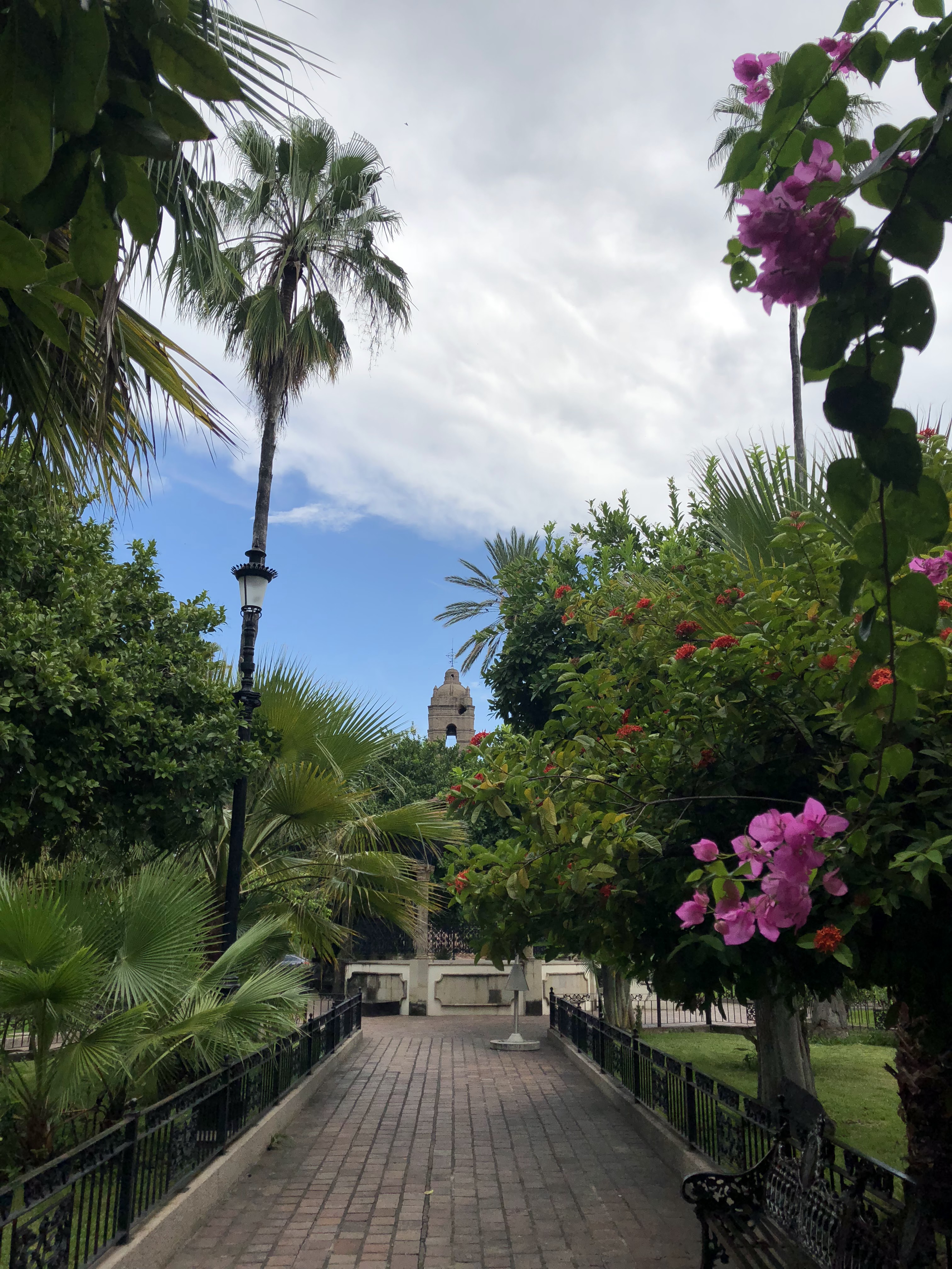 New Roll sushi image 3