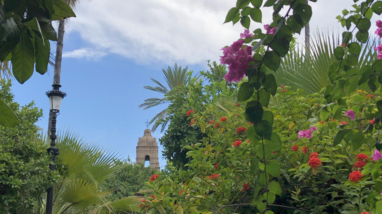 New Roll sushi image 7