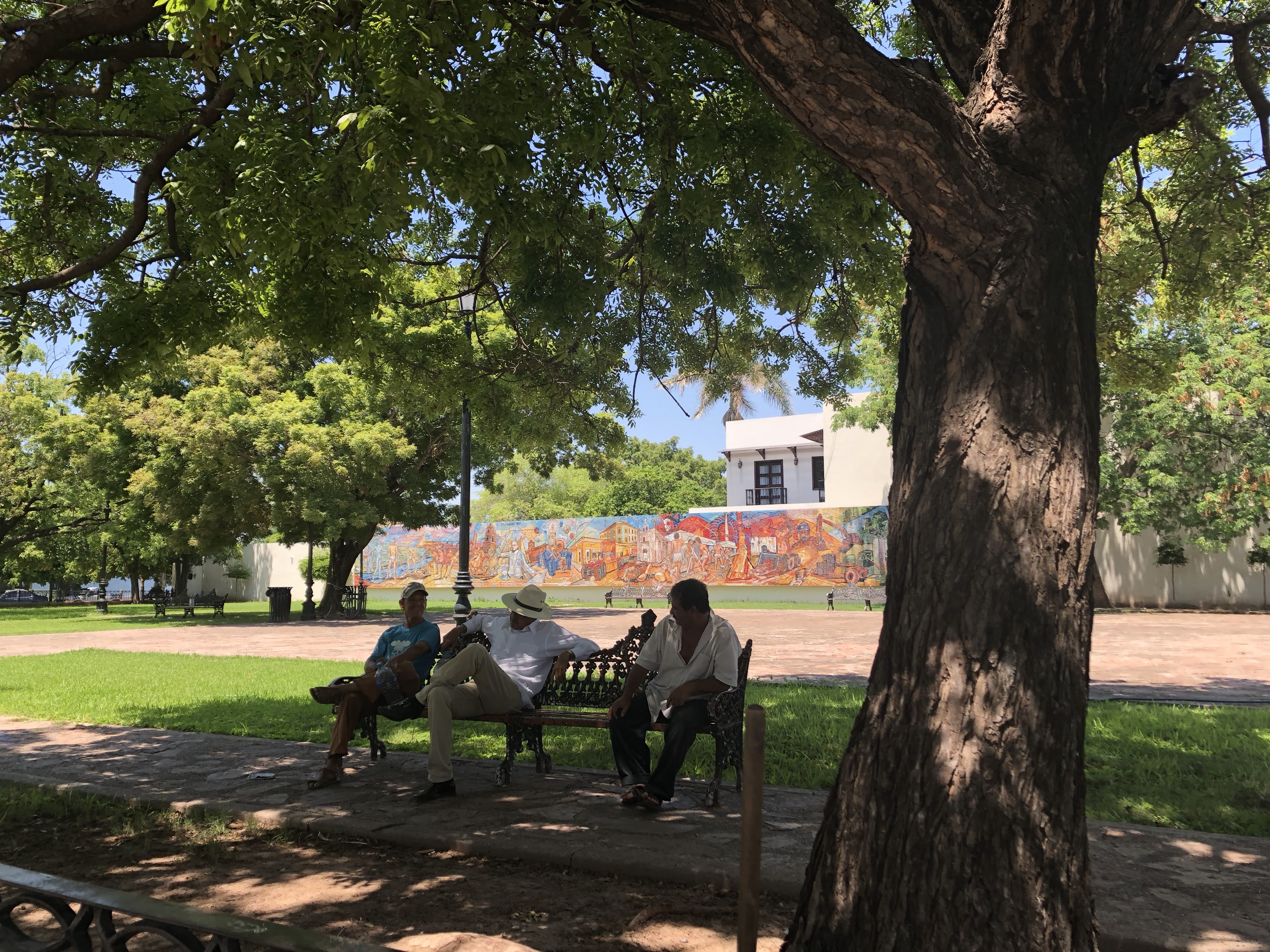 New Roll sushi image 9