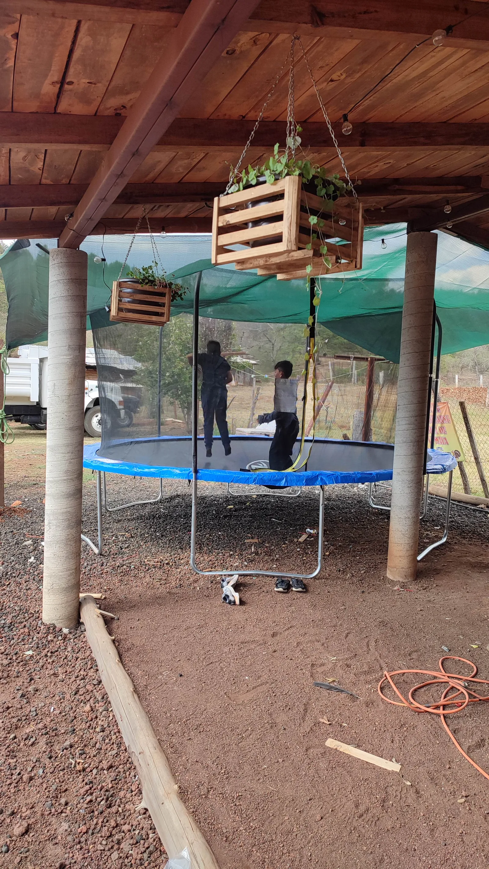 Los pavos image 7