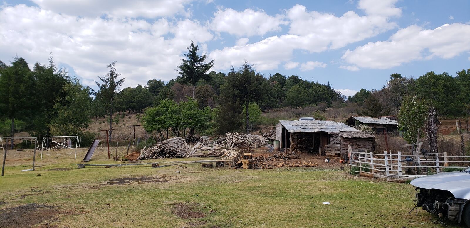 Los pavos image 10