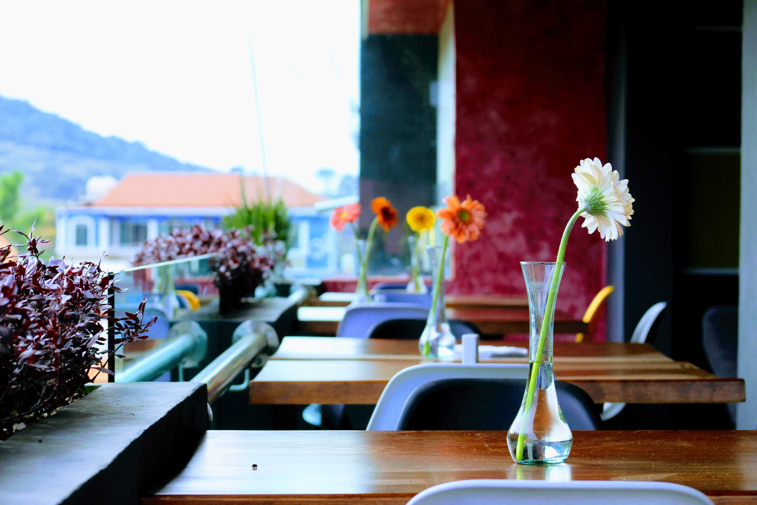 Deli Grill 7-27 Cocina Bar image 4