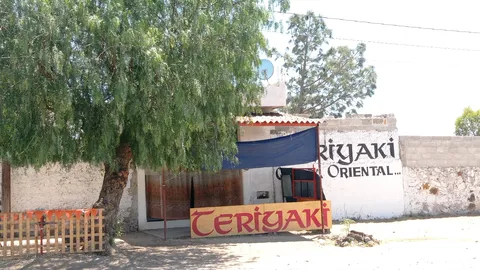 Teriyaki image 8