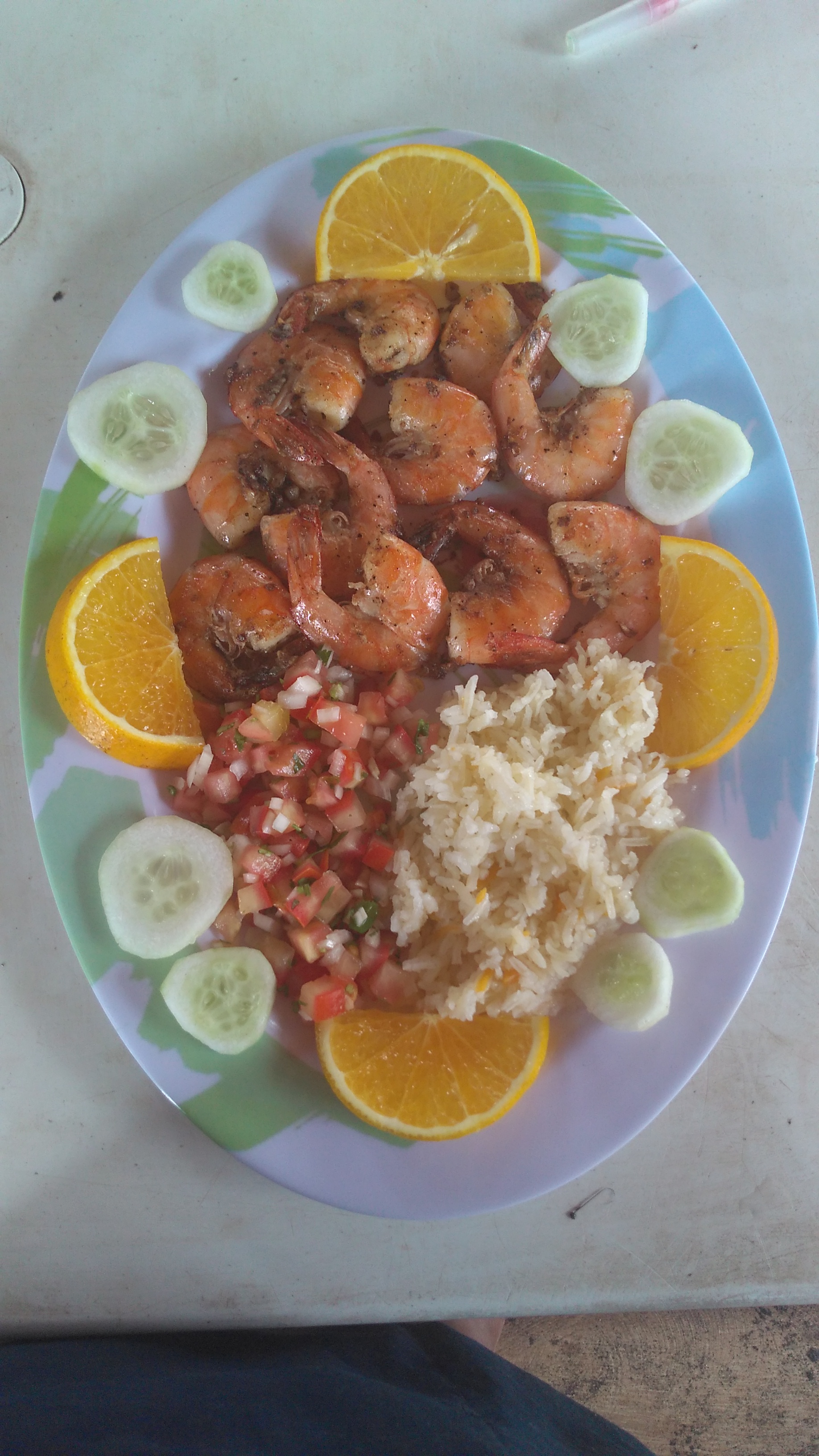 El Oasis de Don Gato. image 3