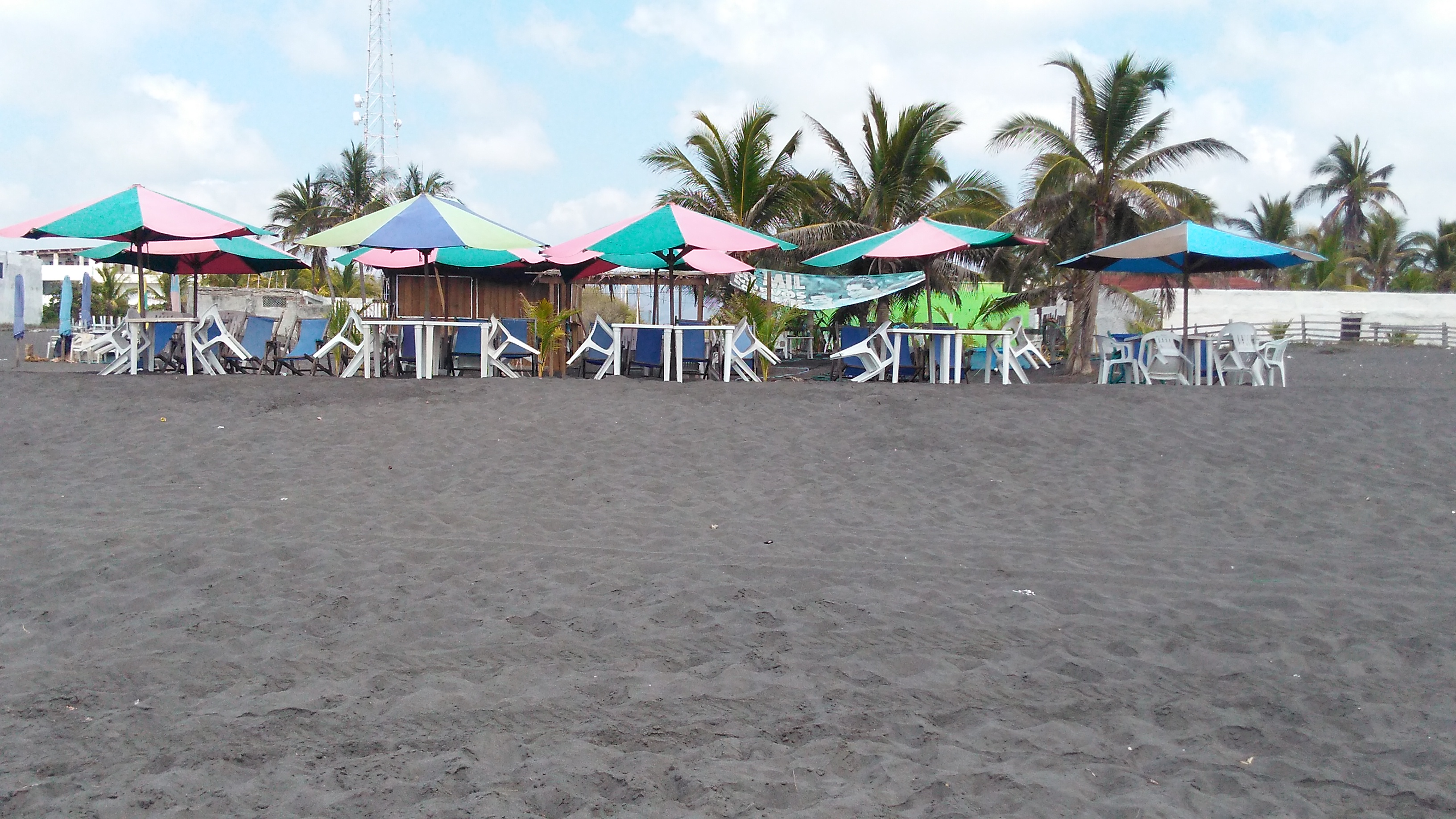 El Oasis de Don Gato. image 6