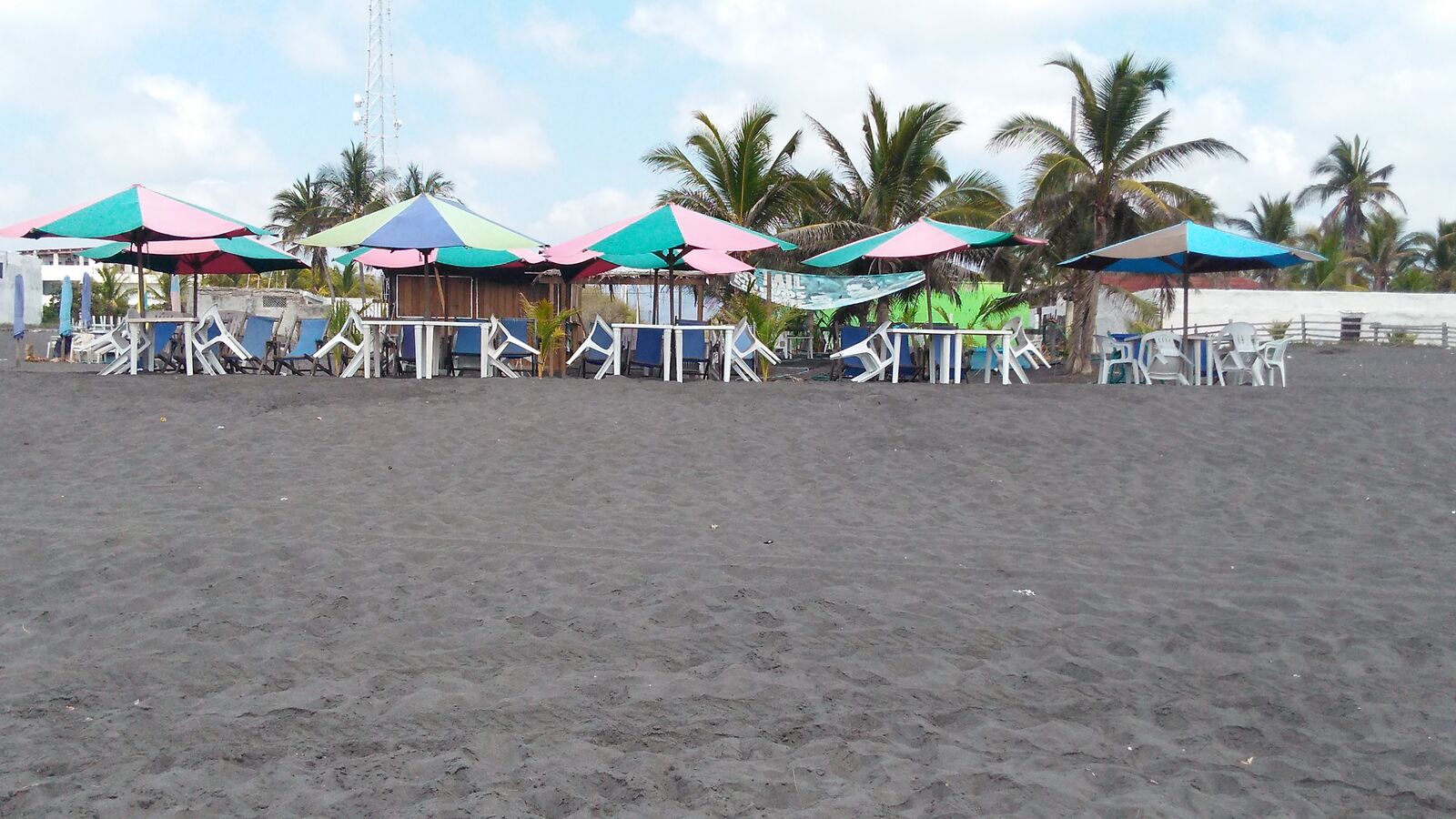 El Oasis de Don Gato. image 6