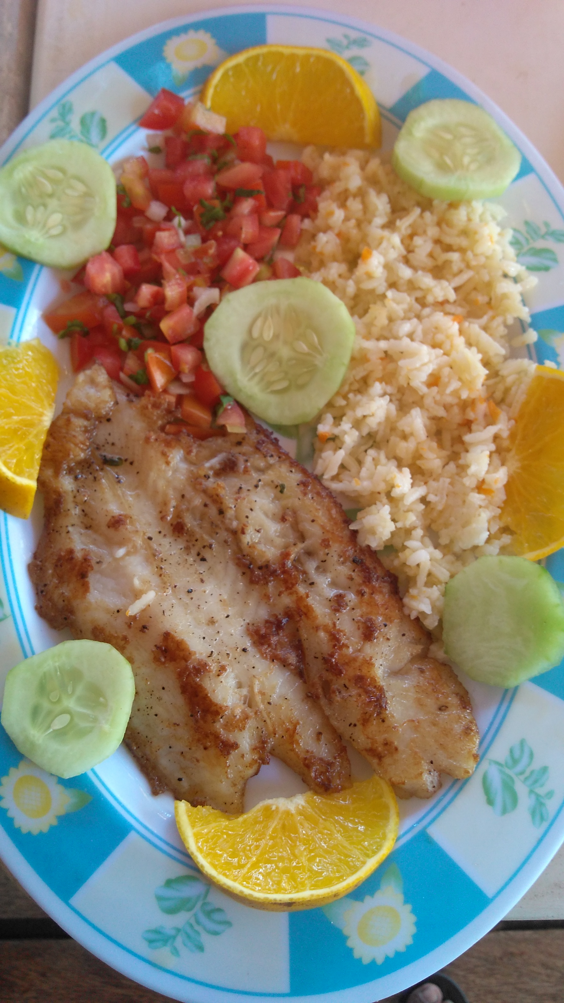 El Oasis de Don Gato. image 9