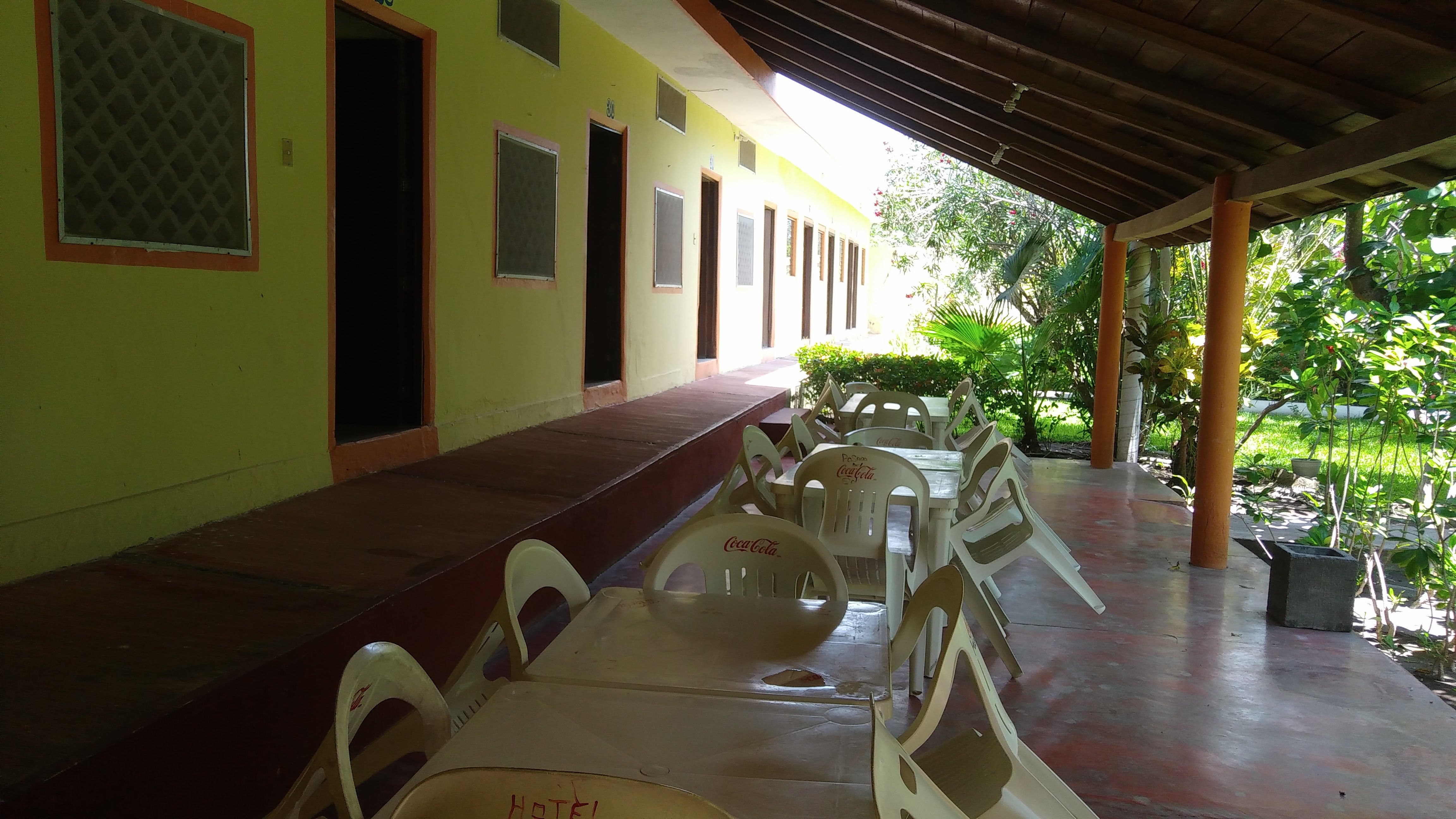 El Oasis de Don Gato. image 10