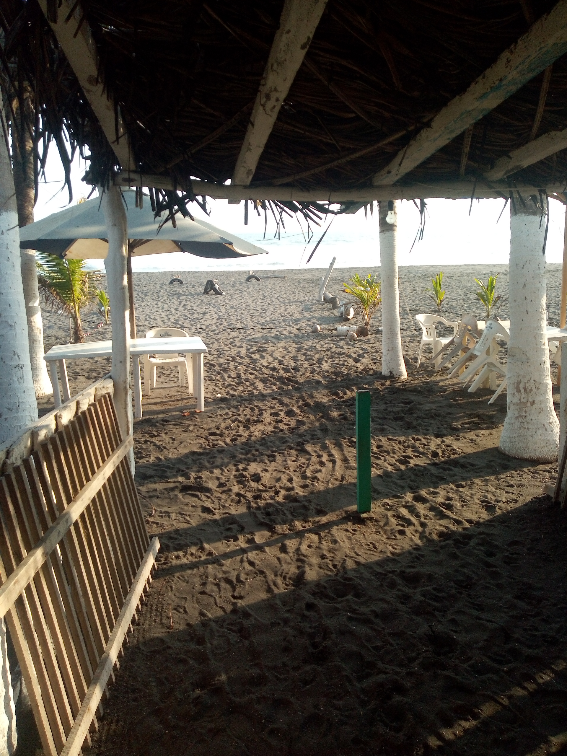 Mariscos "Playa Cuyutlan" image 9