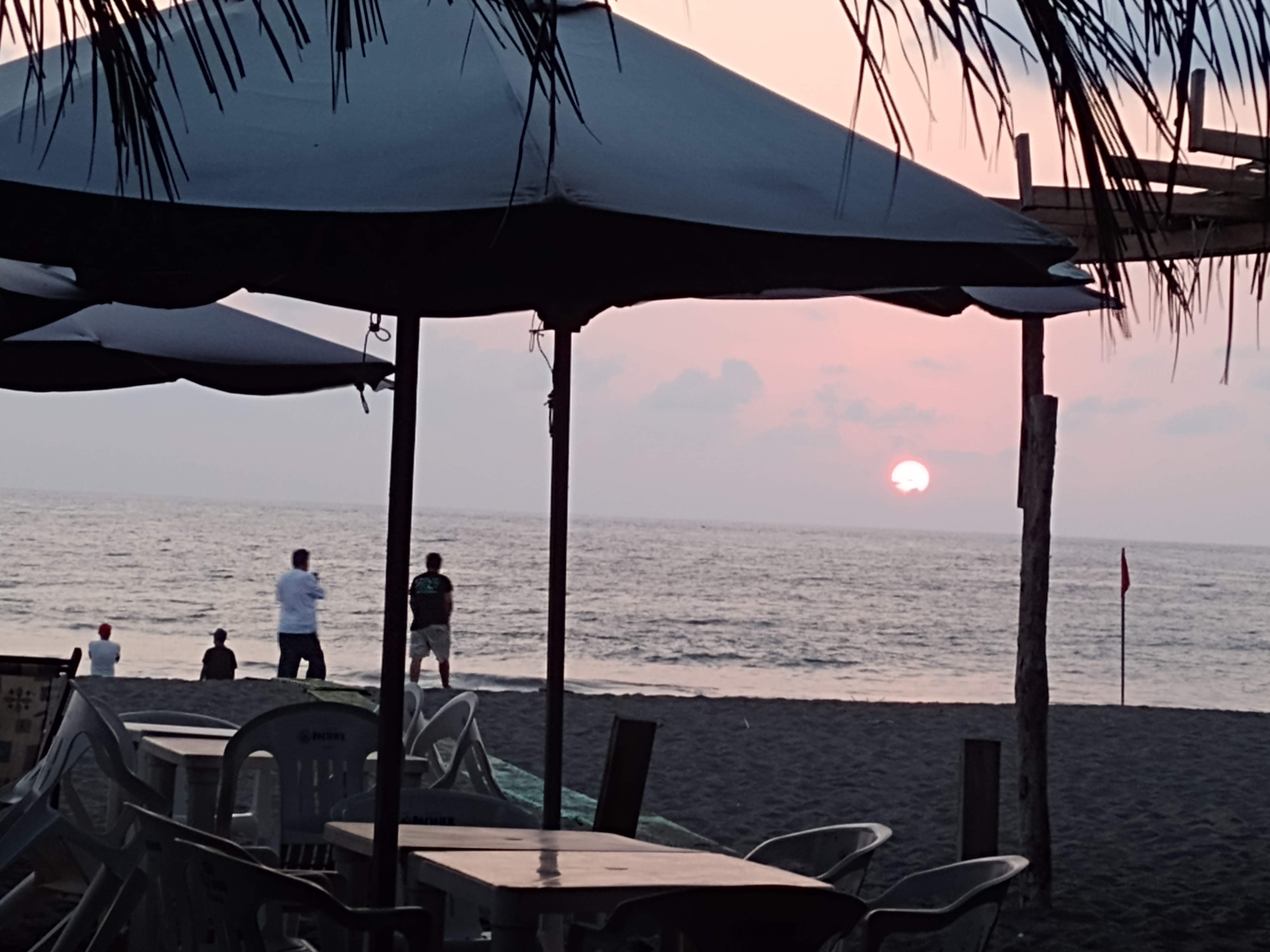 Las Hamacas Del Mayor, S.A. De C.V. image 1