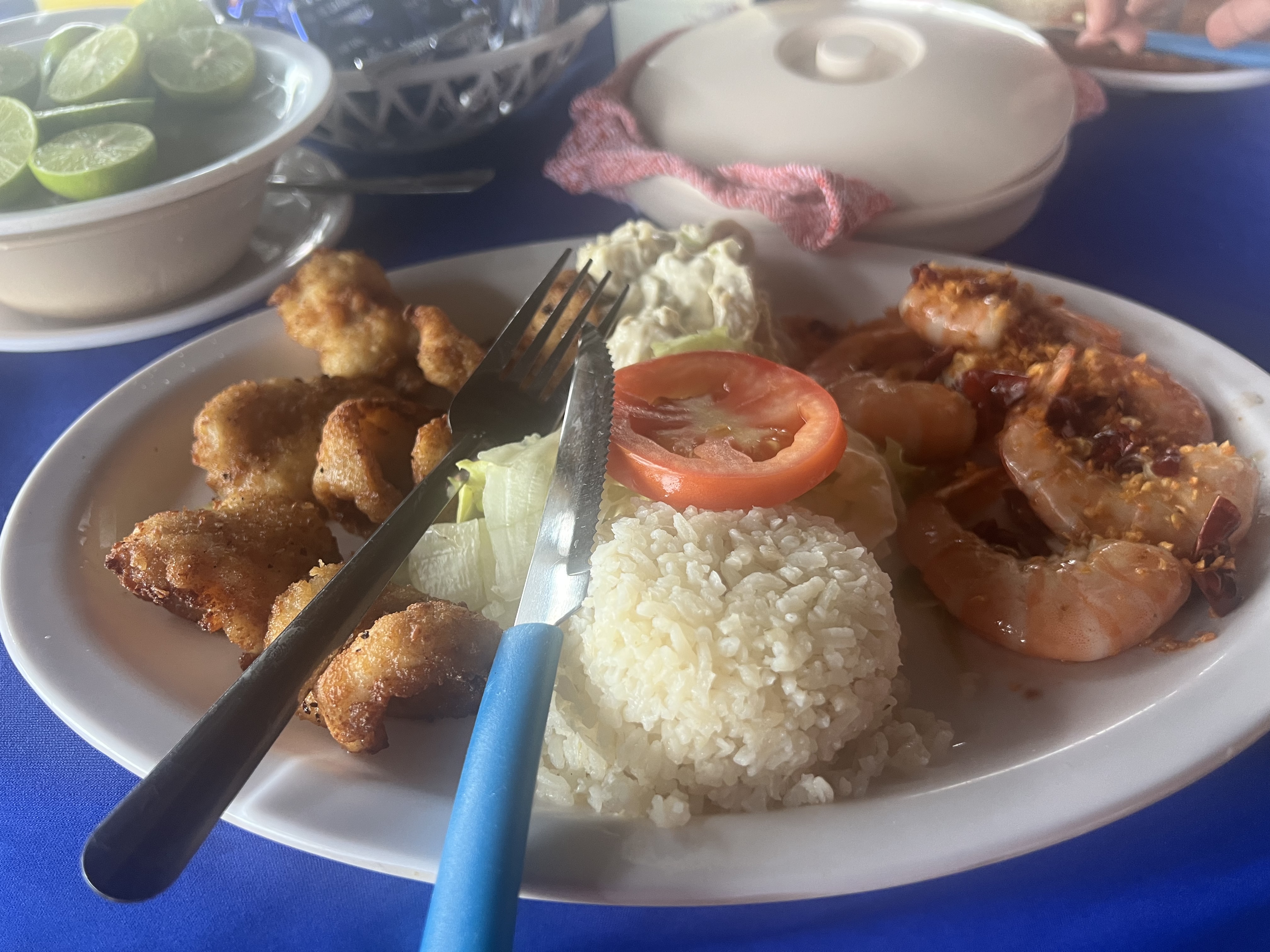 Las Hamacas Del Mayor, S.A. De C.V. image 3