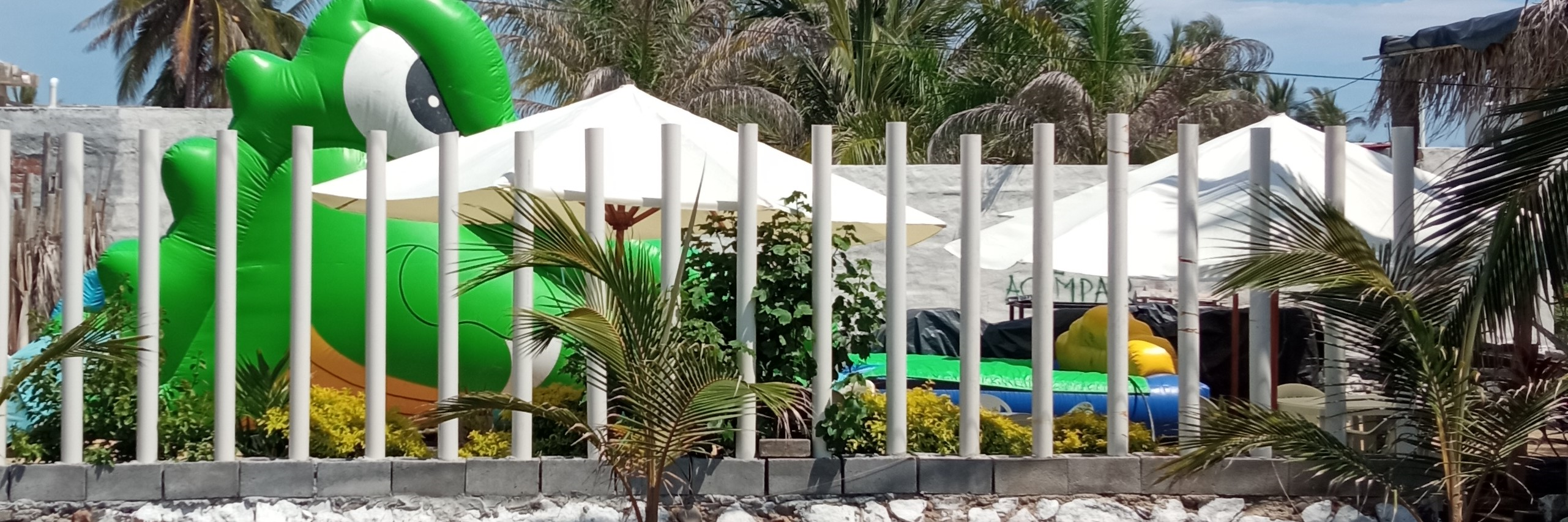 LA PLAYITA DORADA image 3