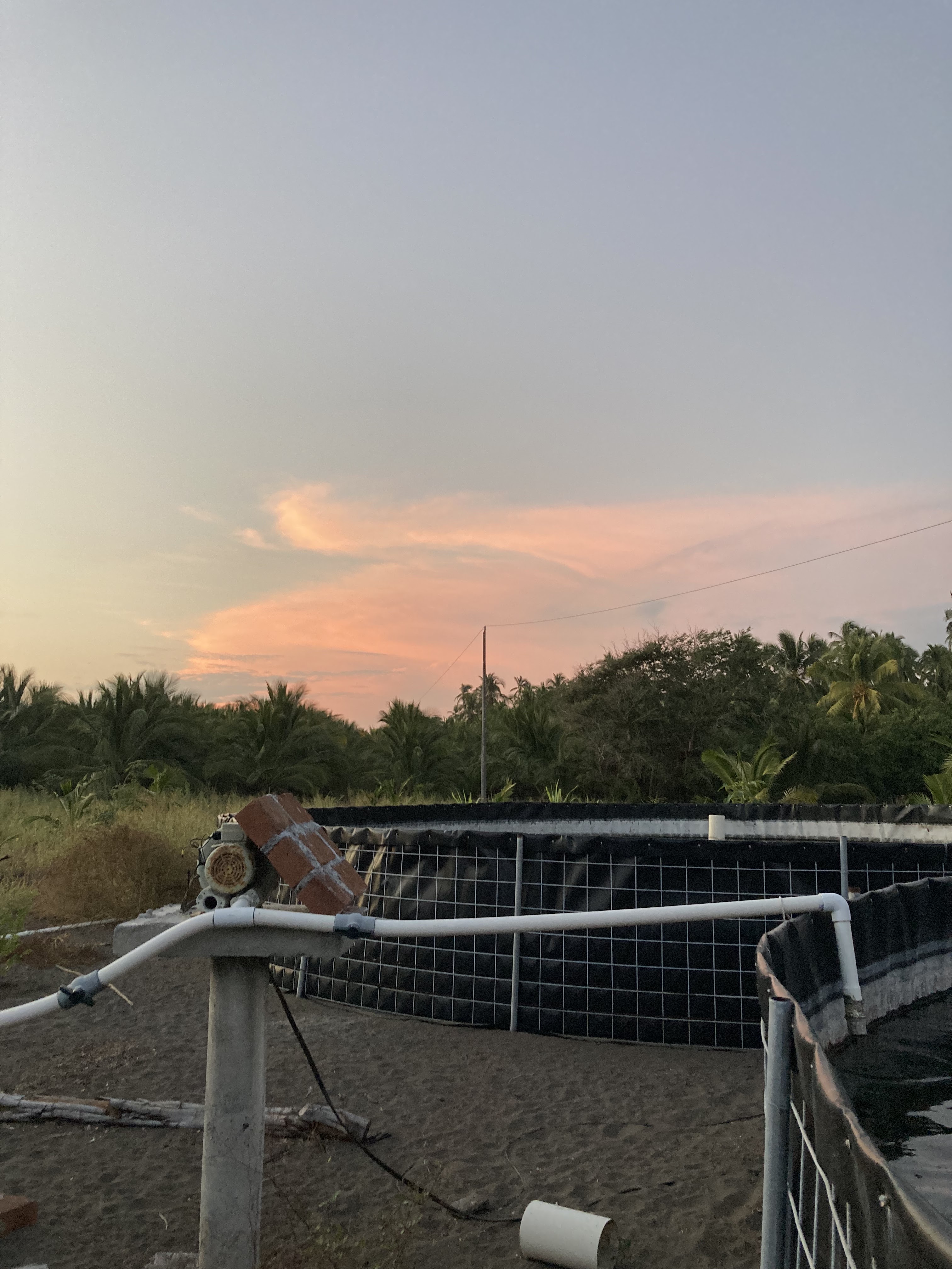 Ventura's Ranch image 3