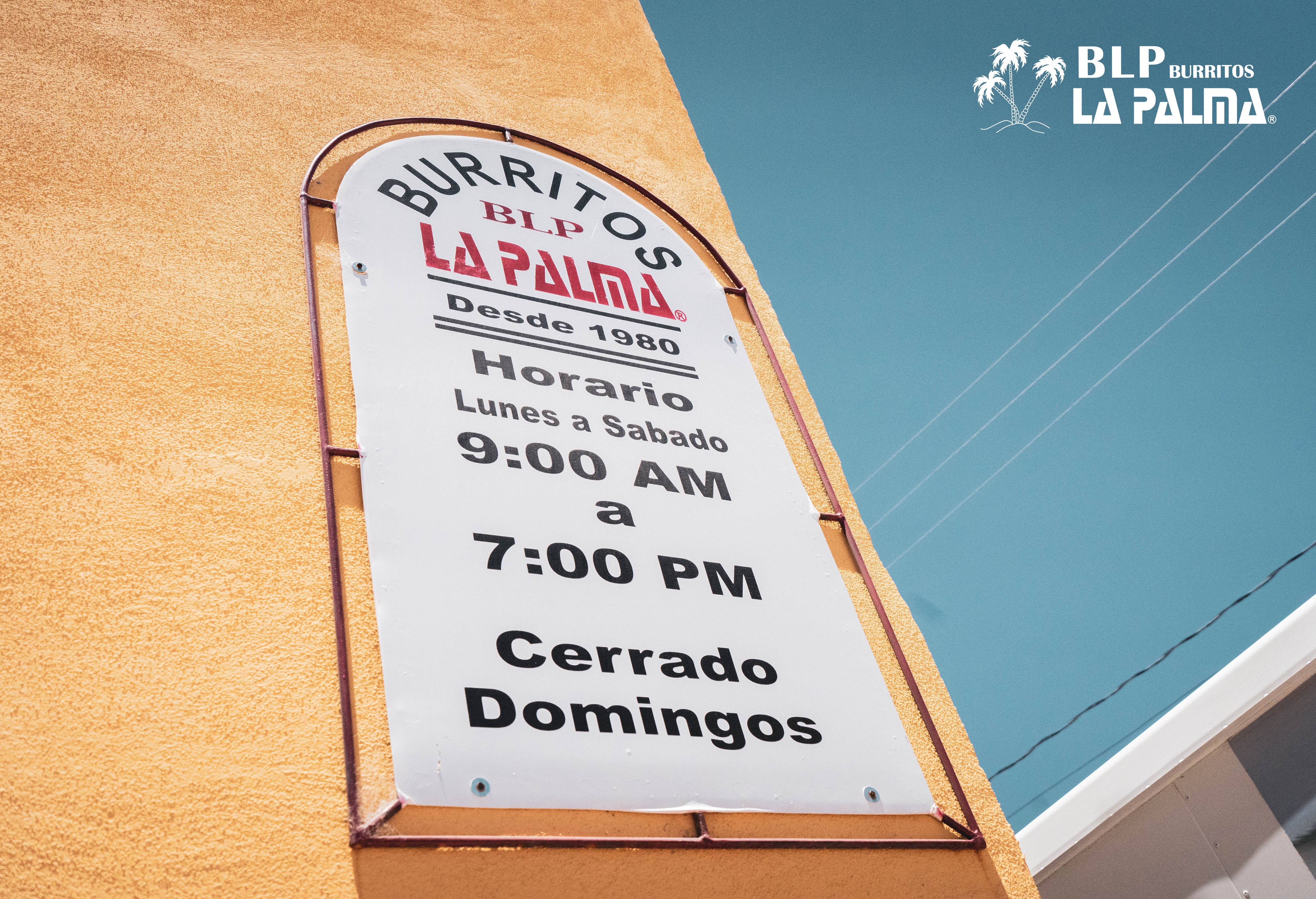 BLP La Palma (Universidad) image 5