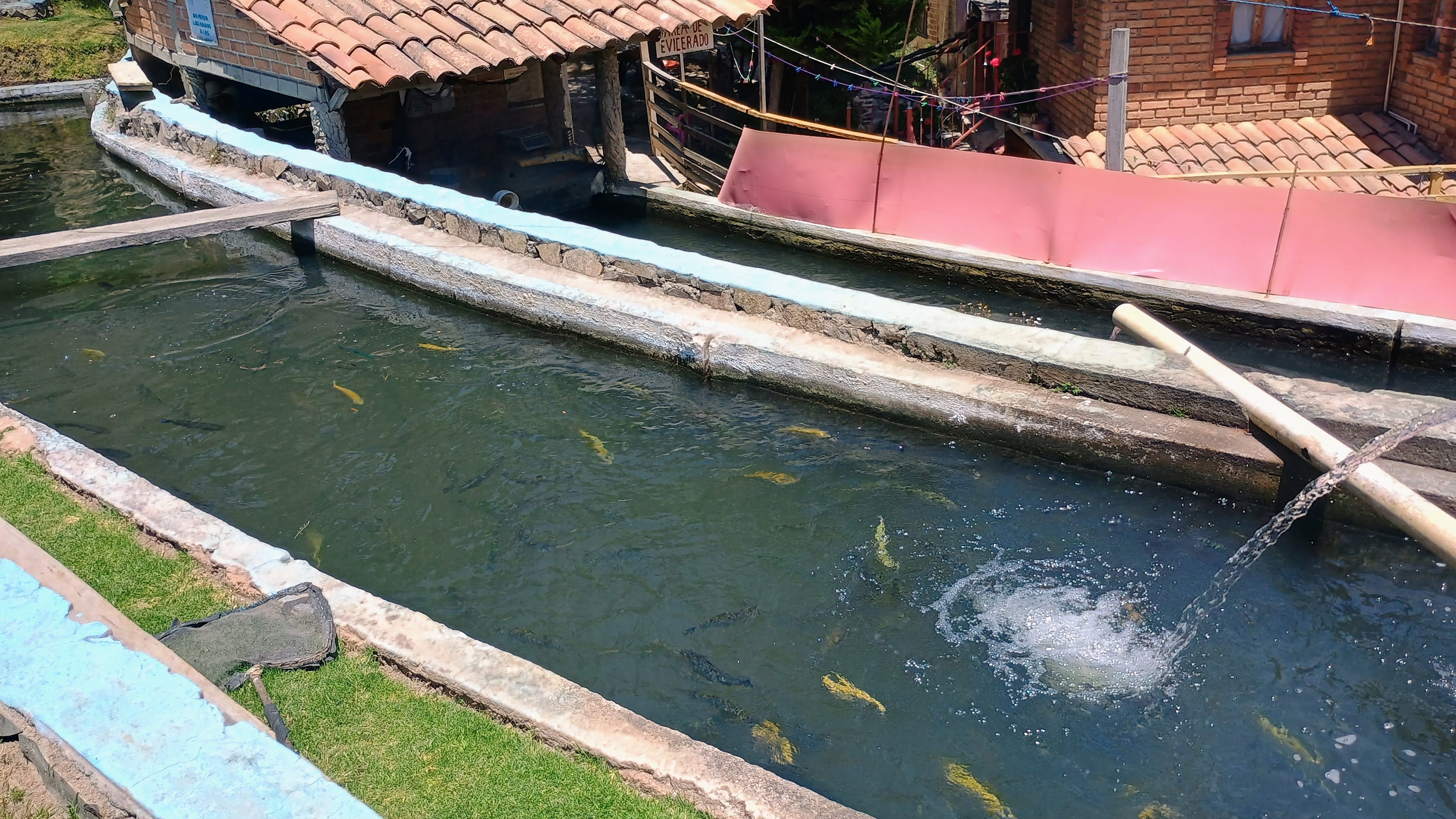 Truchas "Las Lajas" image 7