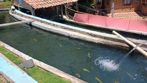Truchas "Las Lajas" image 7