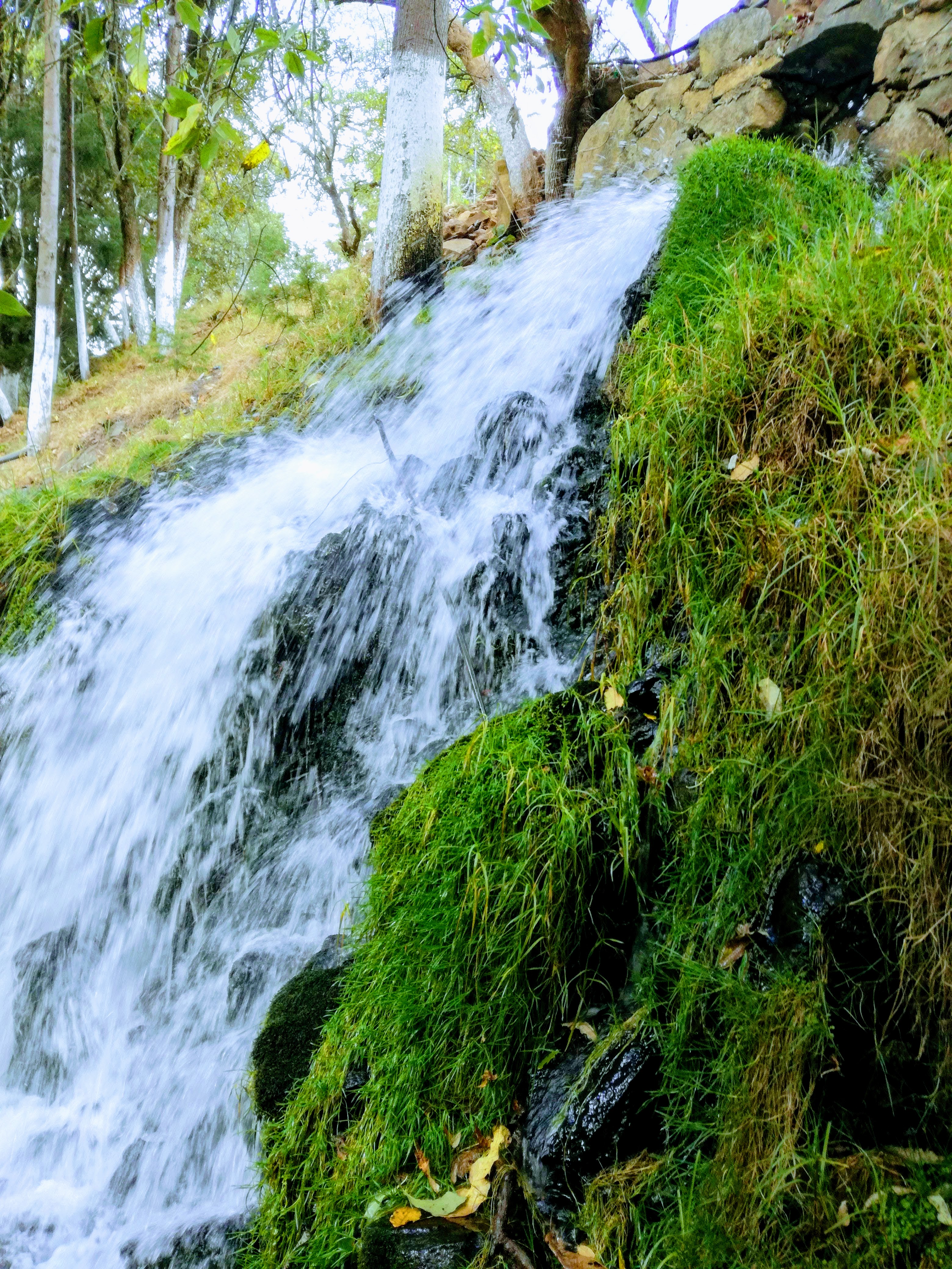 Truchas "Las Lajas" image 9