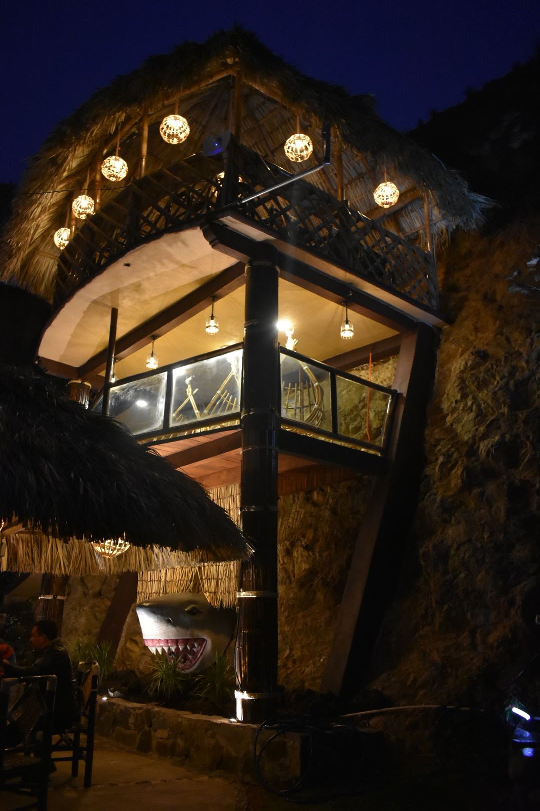 La Palapa 2024 image 4