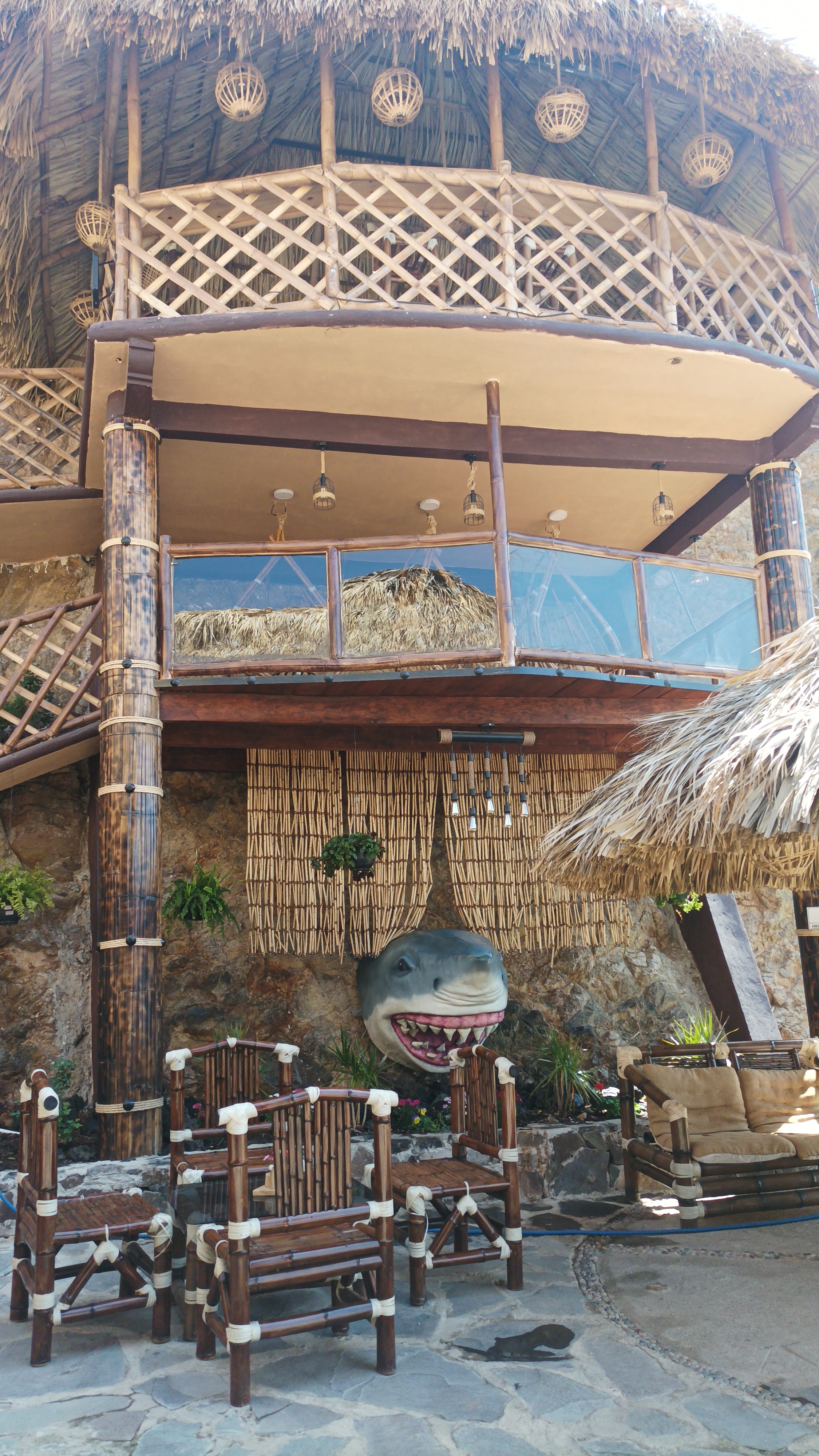 La Palapa 2024 image 5