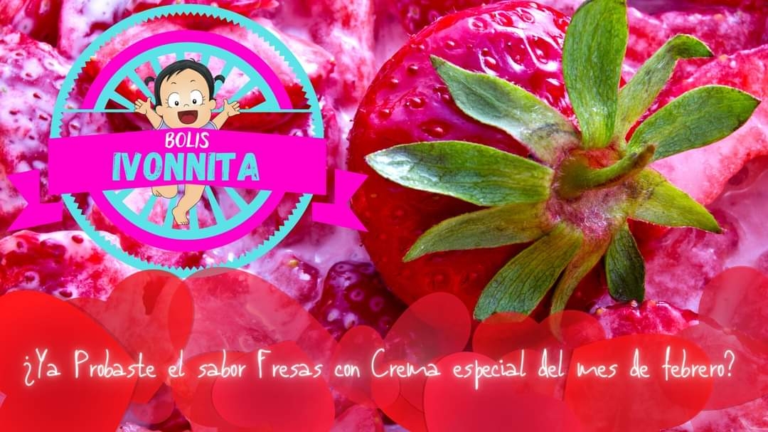 Bolis IVONNITA image 3