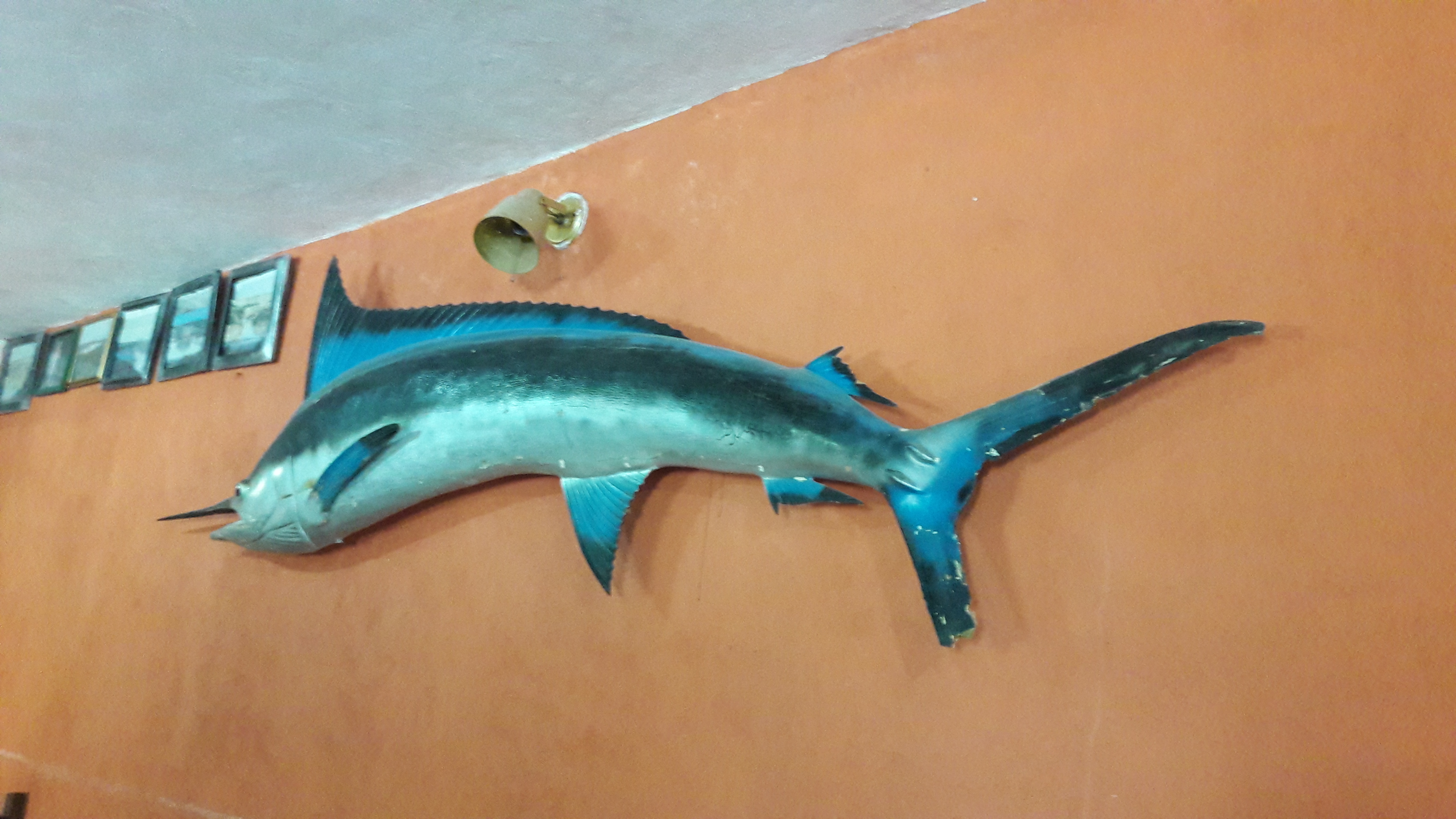 LA ENRRAMADA image 6