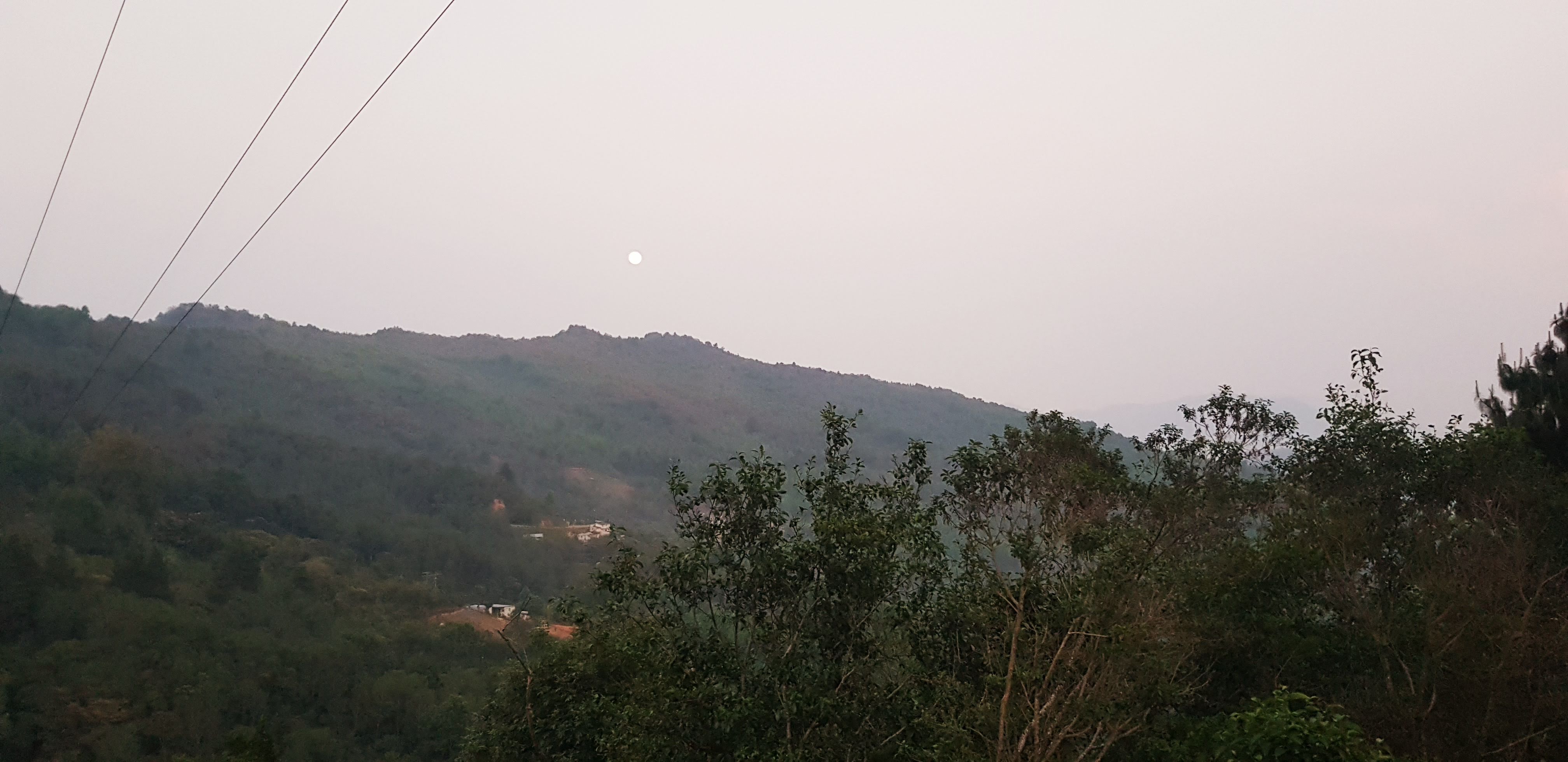 Desayunos, jugos y Licuados "Rebe" image 3