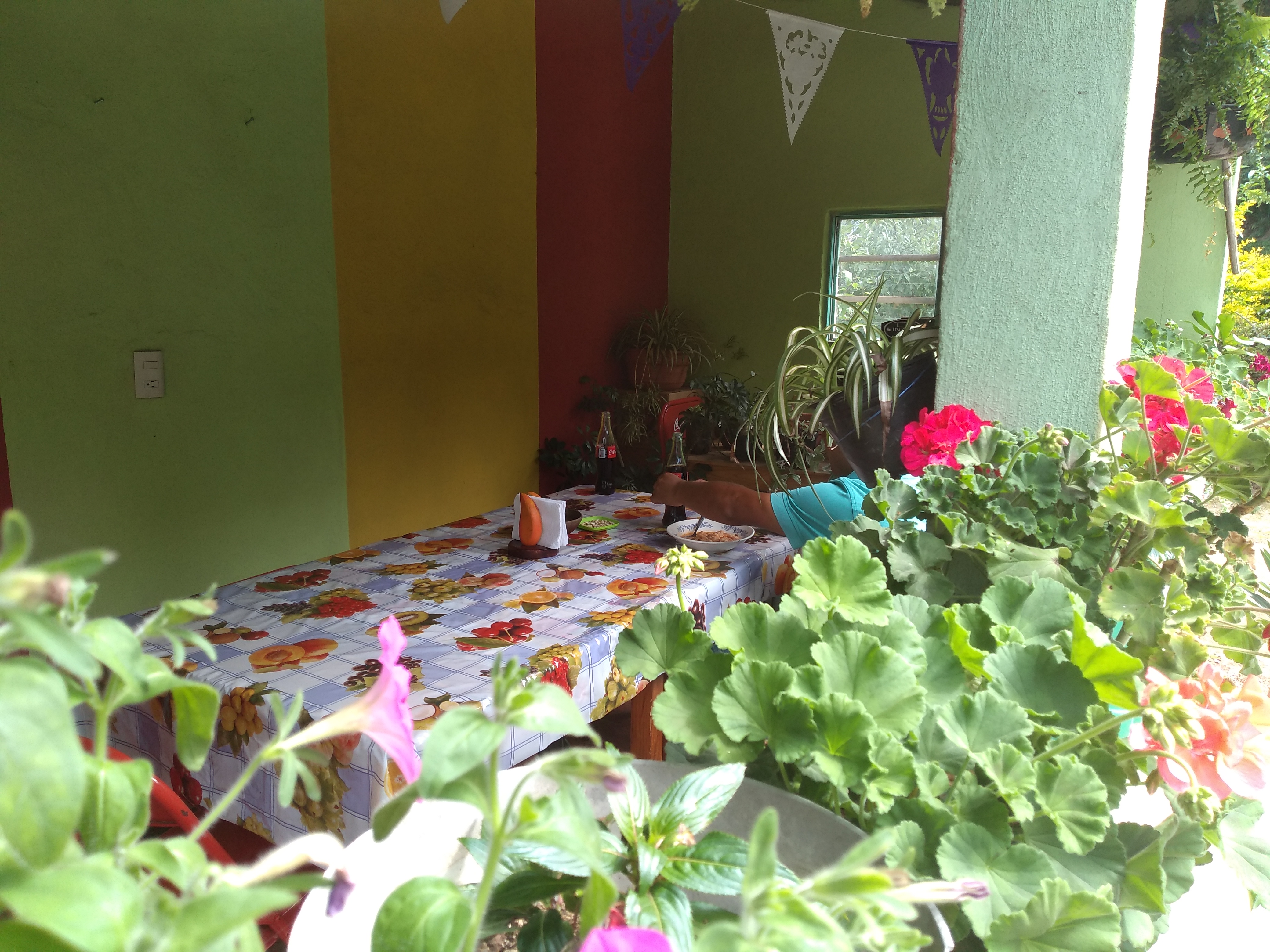 Desayunos, jugos y Licuados "Rebe" image 4