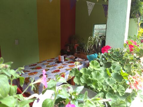 Desayunos, jugos y Licuados "Rebe" image 4
