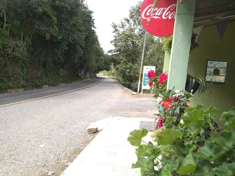 Desayunos, jugos y Licuados "Rebe" image 8