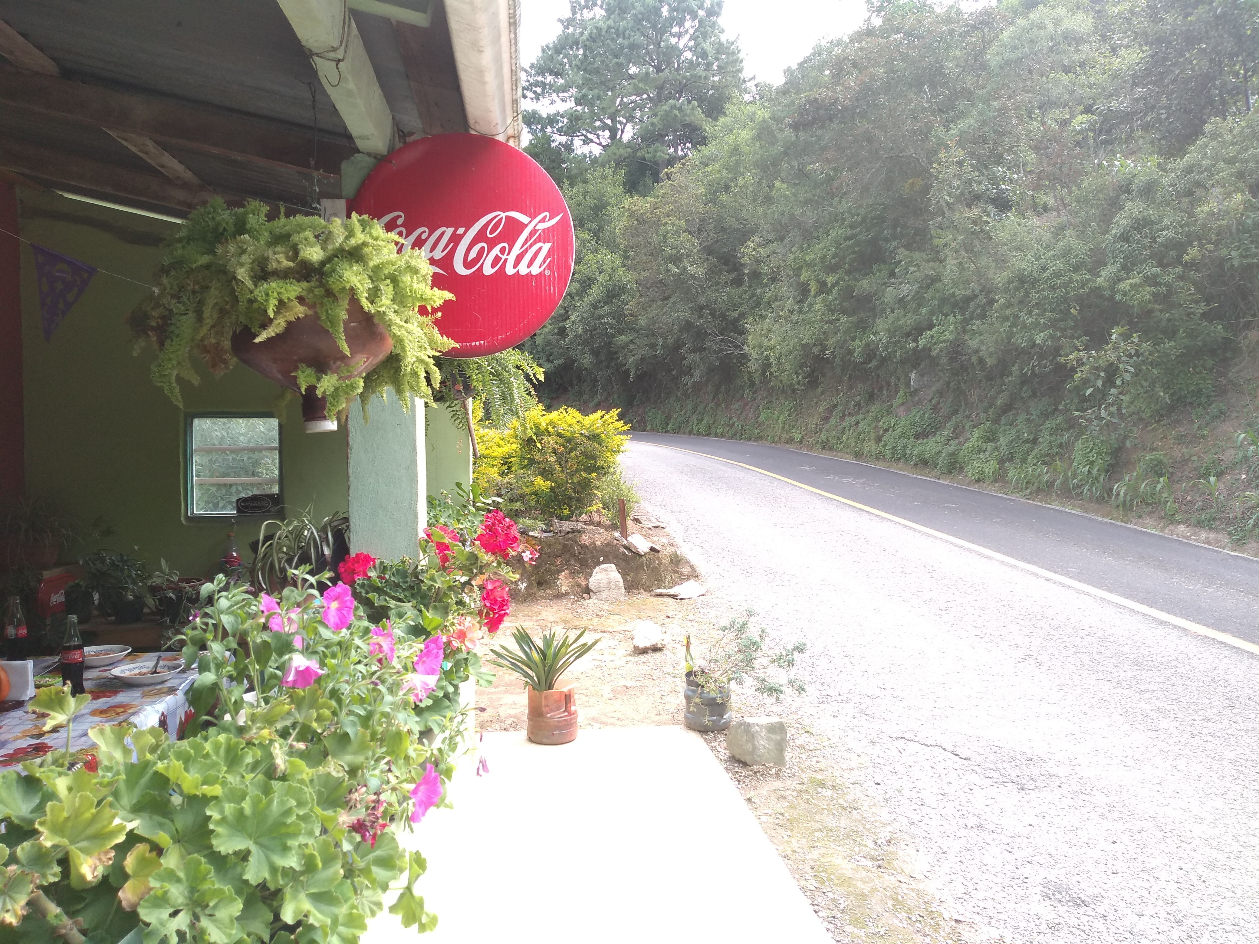 Desayunos, jugos y Licuados "Rebe" image 9
