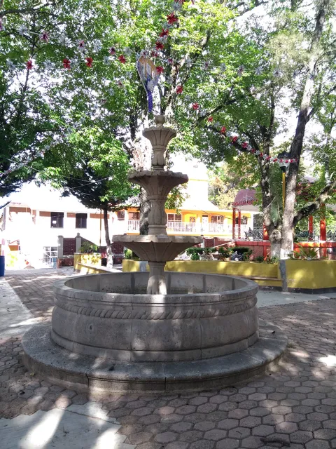 Barbacoa "Carlos" image 4