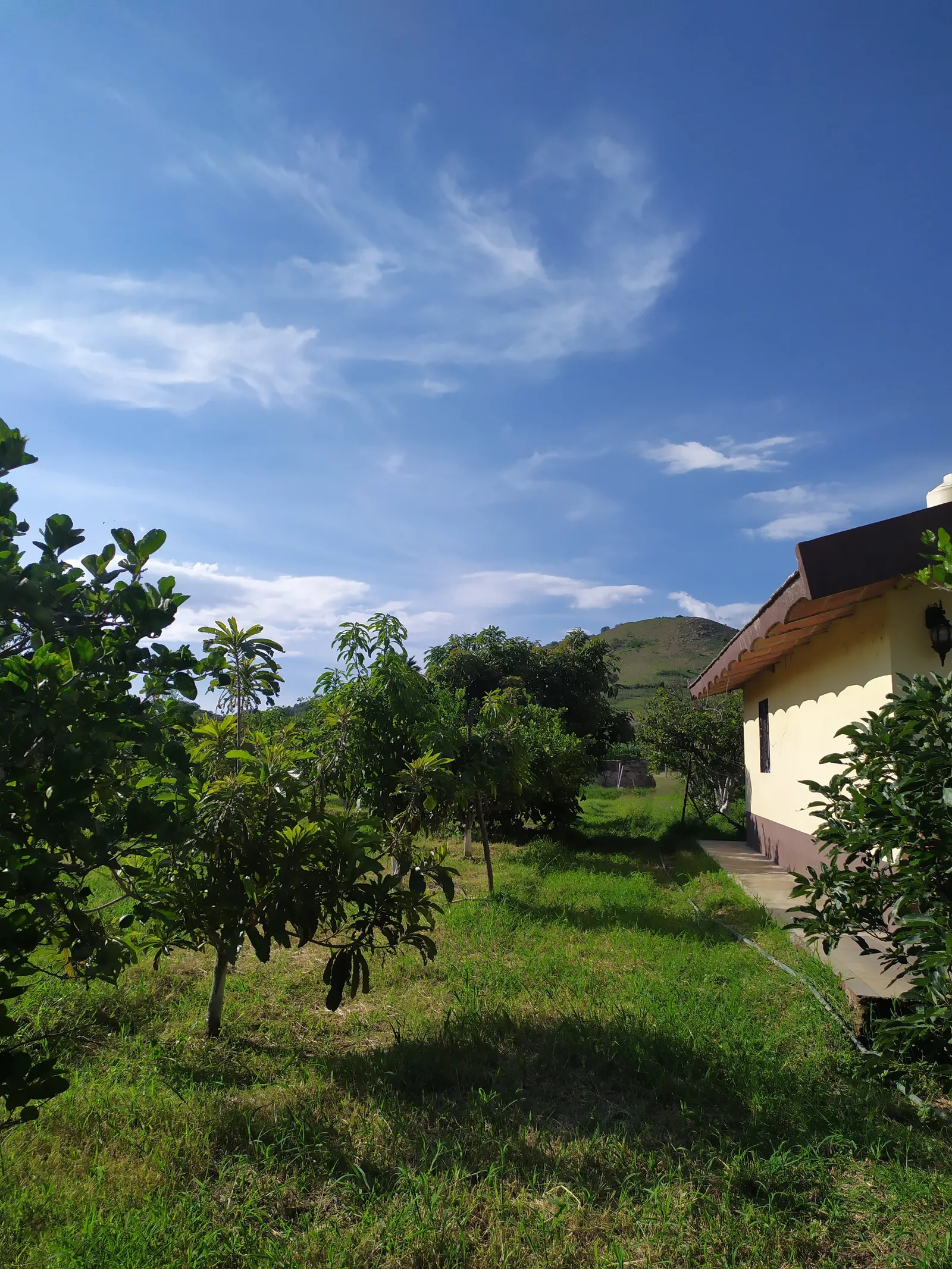 Terraza Campestre Oasis image 10