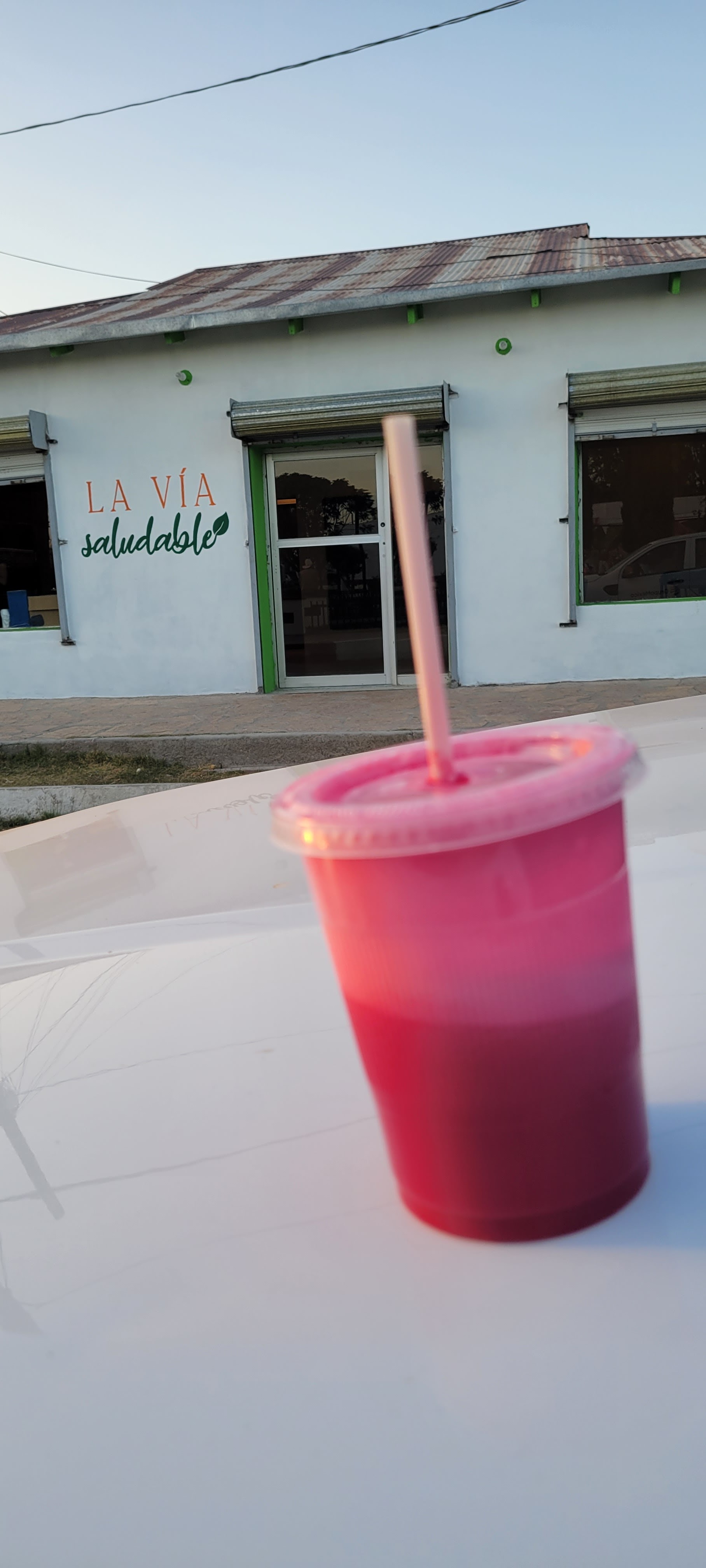 La Vía Saludable image 2