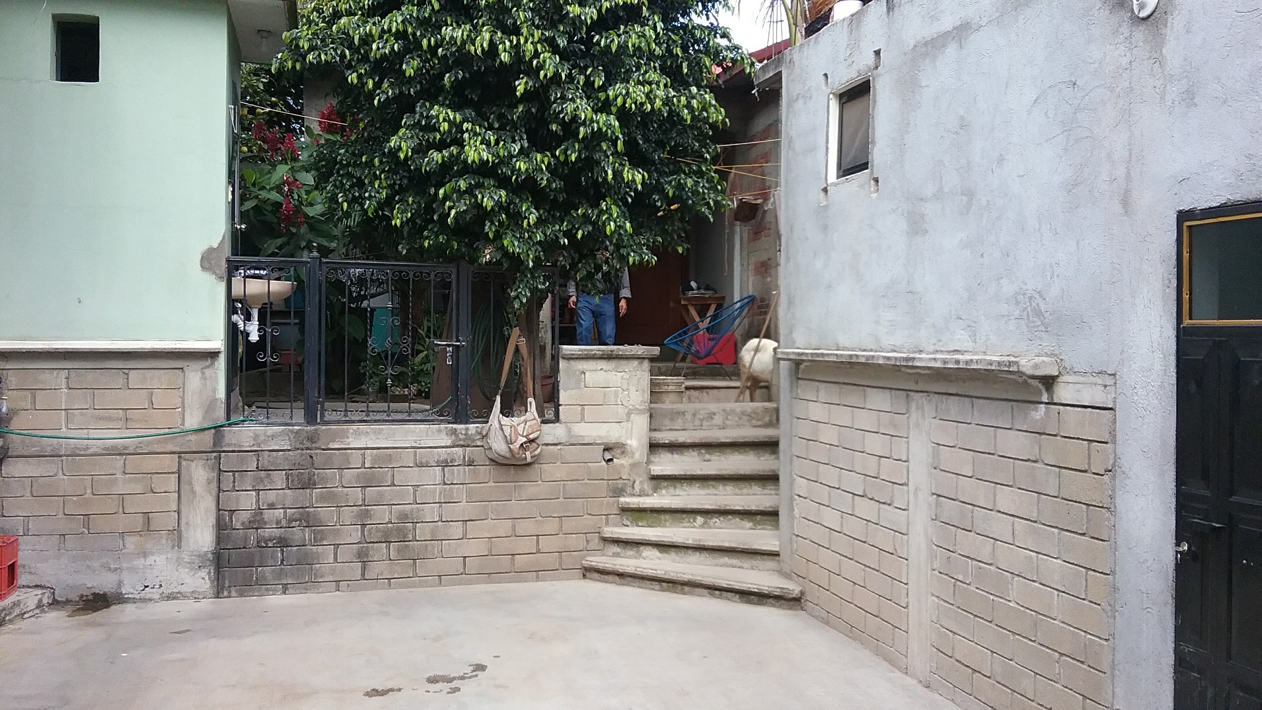 Salchicha la Delicia image 3