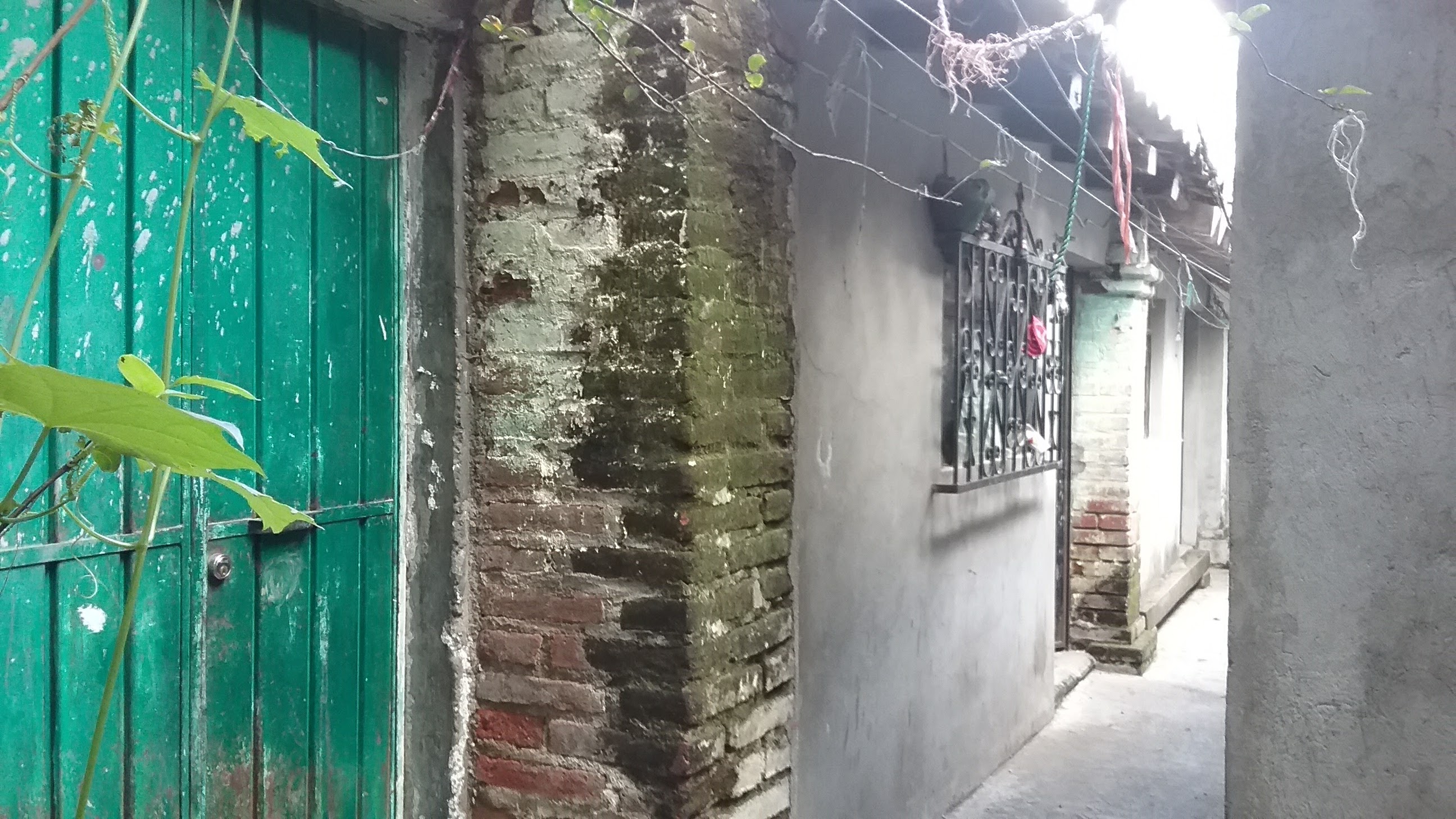 Salchicha la Delicia image 4