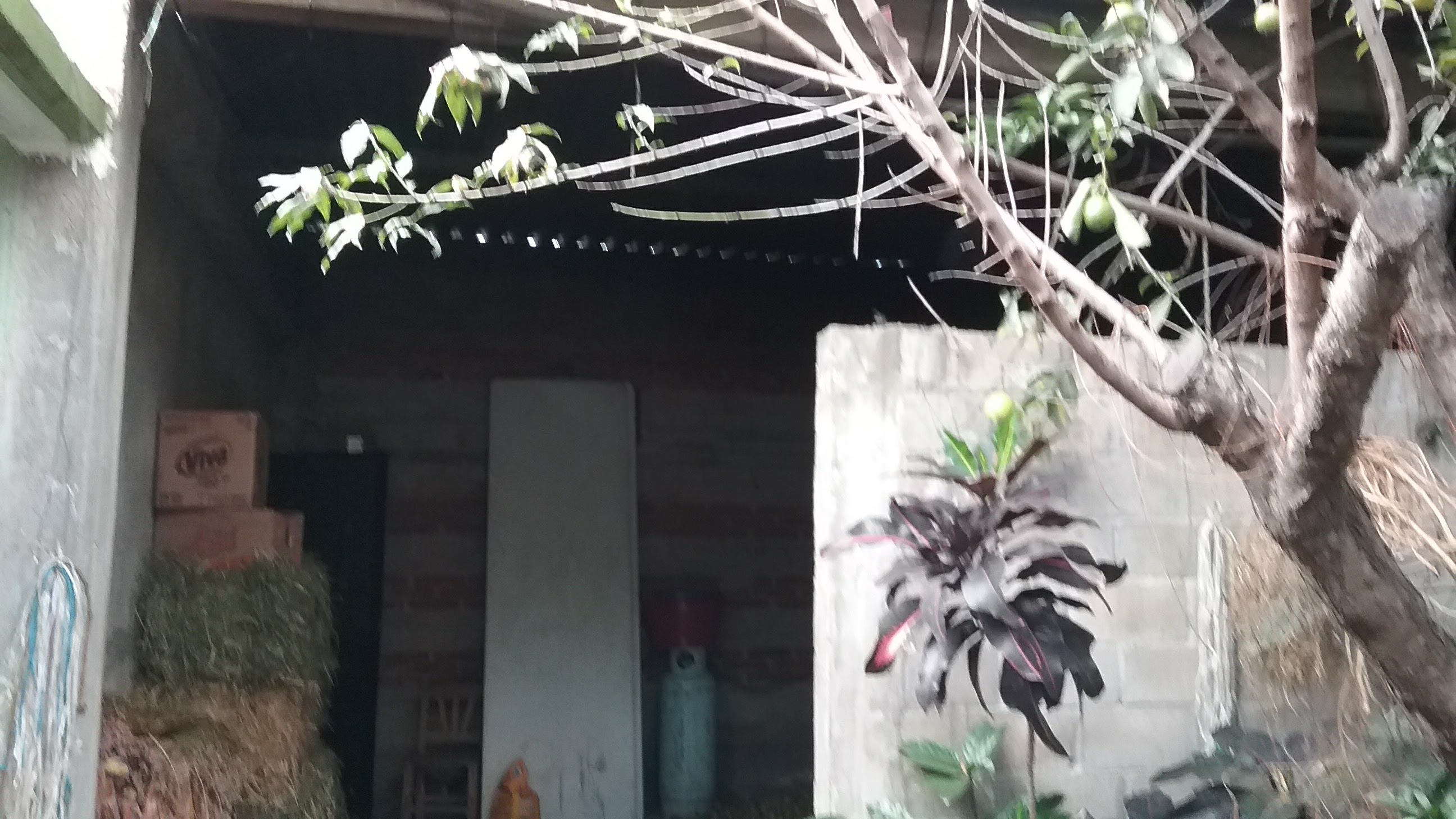 Salchicha la Delicia image 7